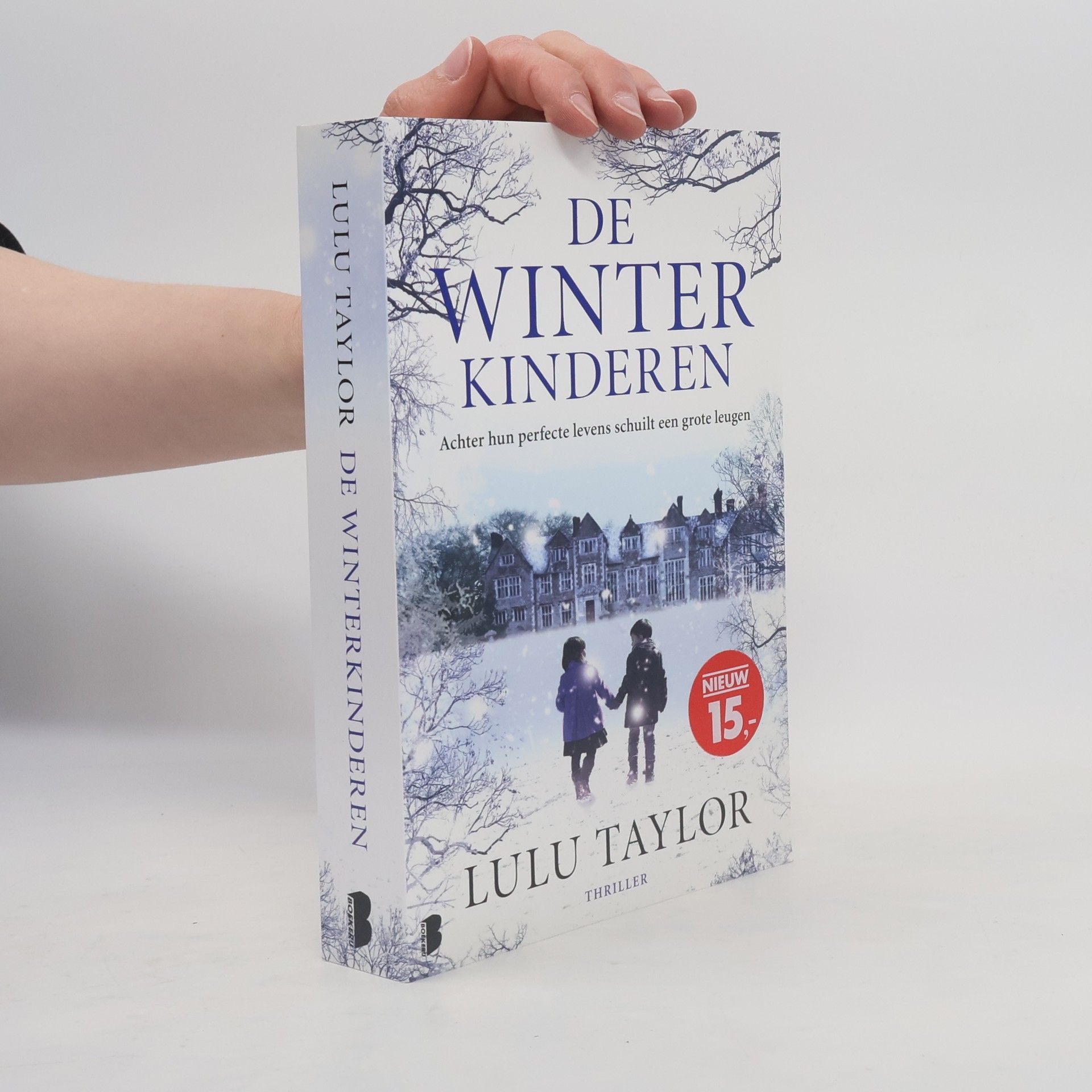 Lulu Taylor De winterkinderen