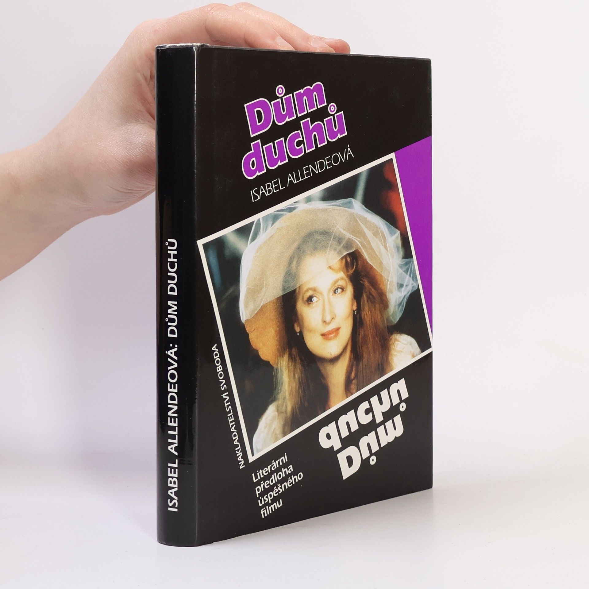 Isabel Allende Llona Dům duchů