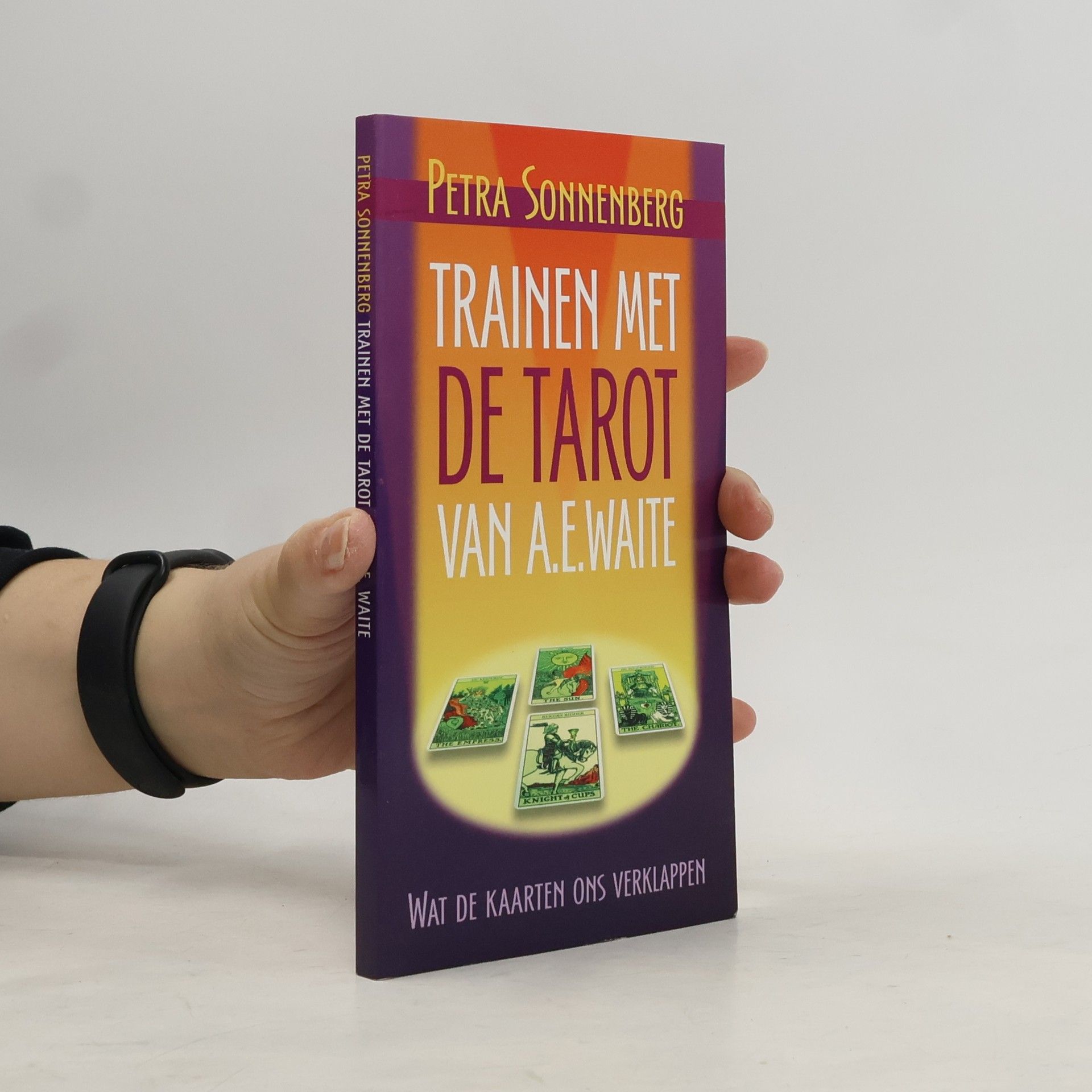 Petra Sonnenberg Trainen met de tarot van A.E. Waite