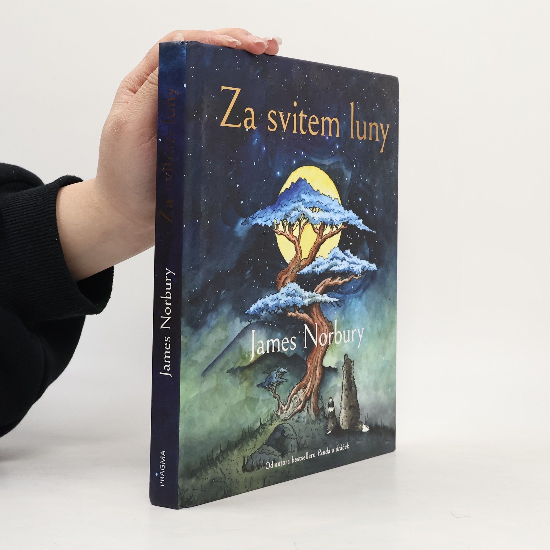 James Norbury Za svitem luny