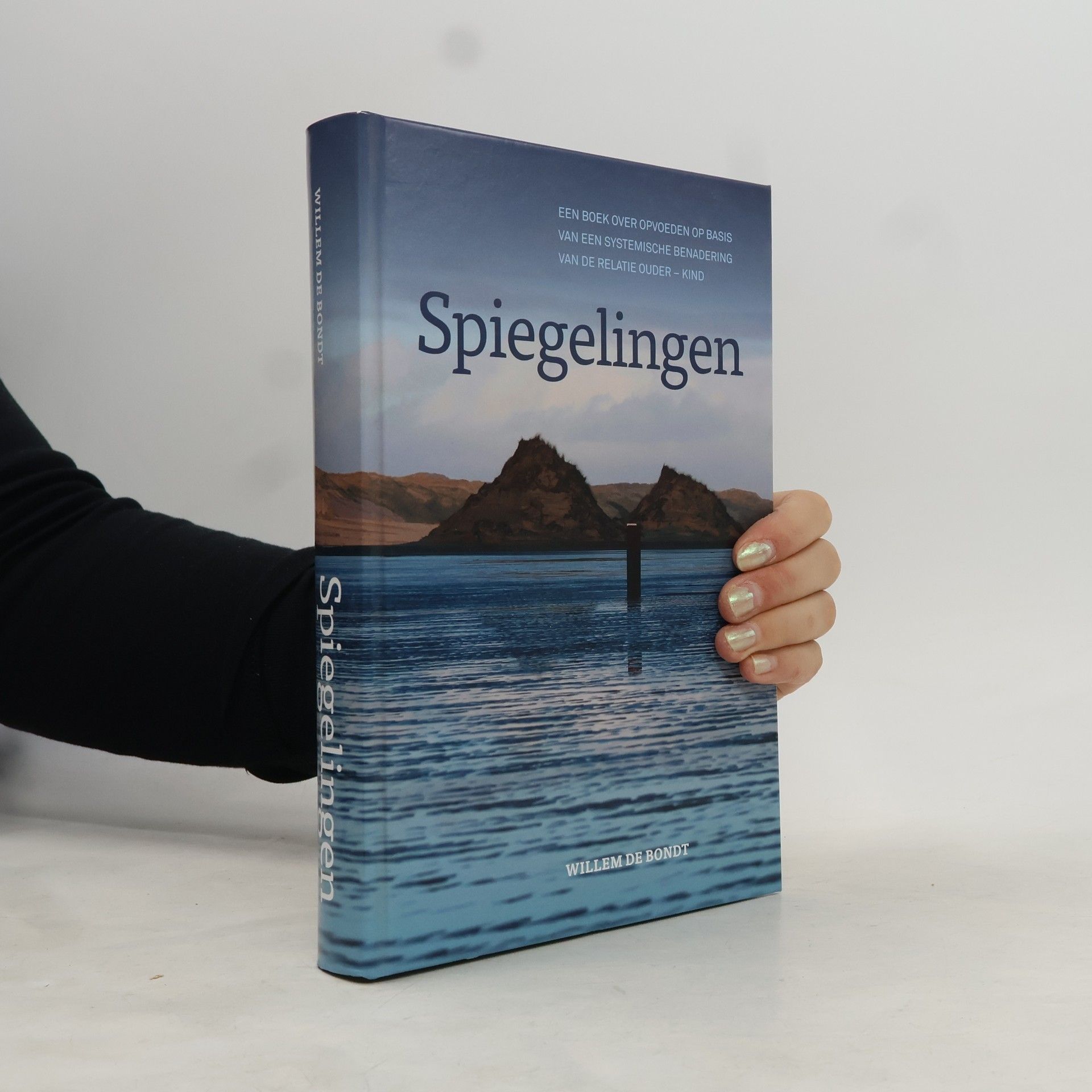 Willem de Bondt Spiegelingen