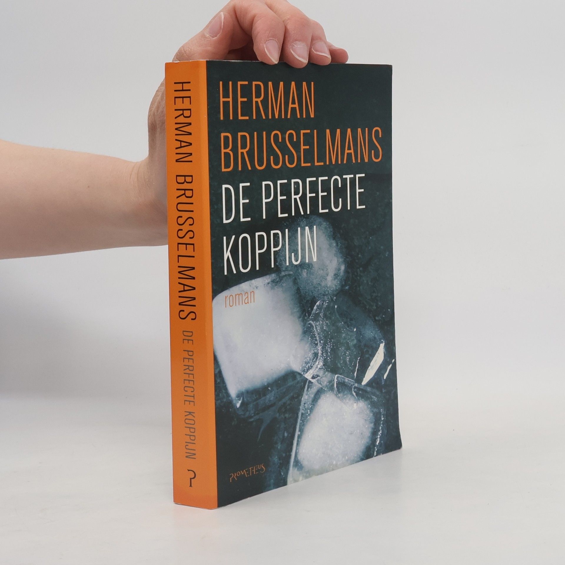 Herman Brusselmans De perfecte koppijn / druk 4