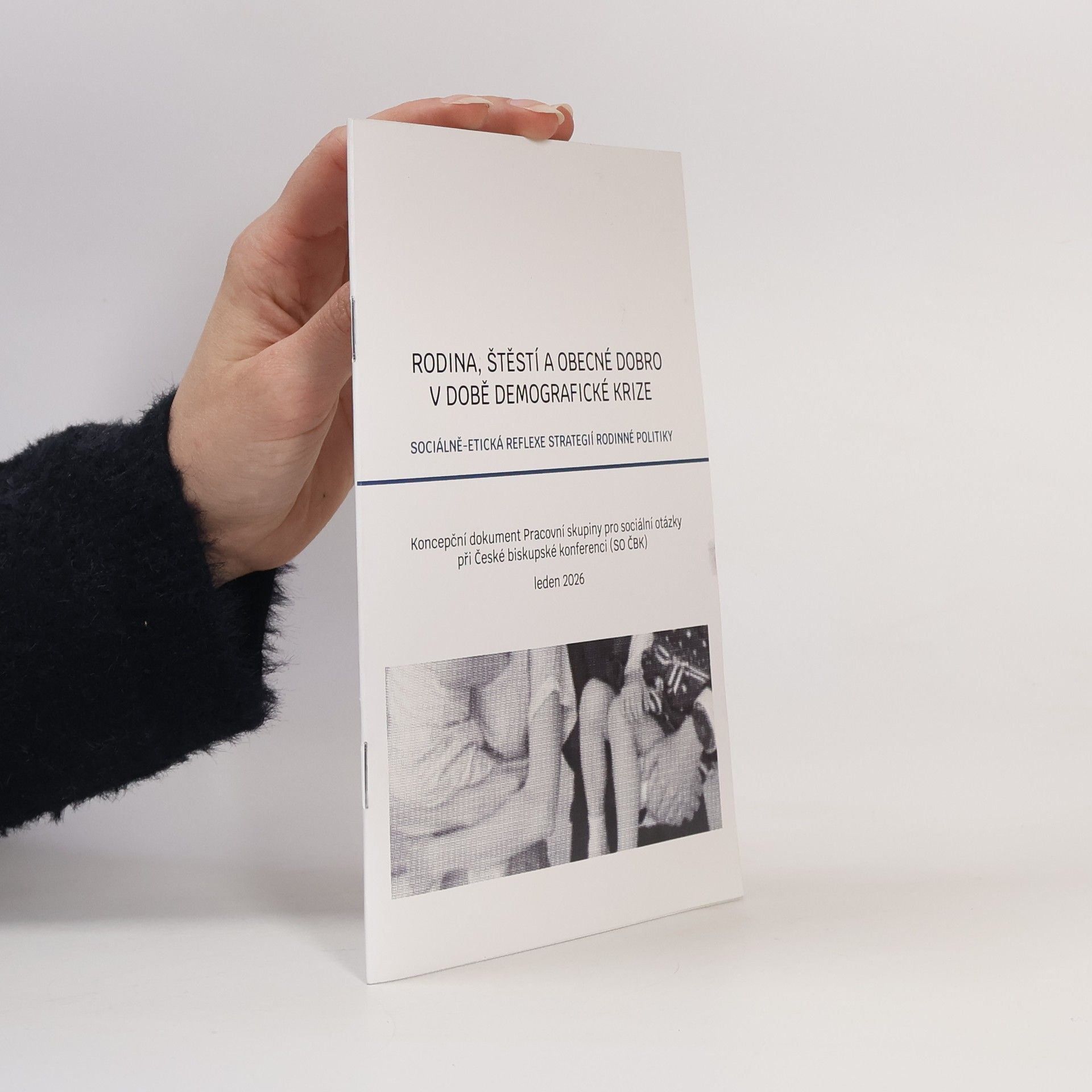 Collectif d'auteurs Rodina, štěstí a obecné dobro v době demografické krize