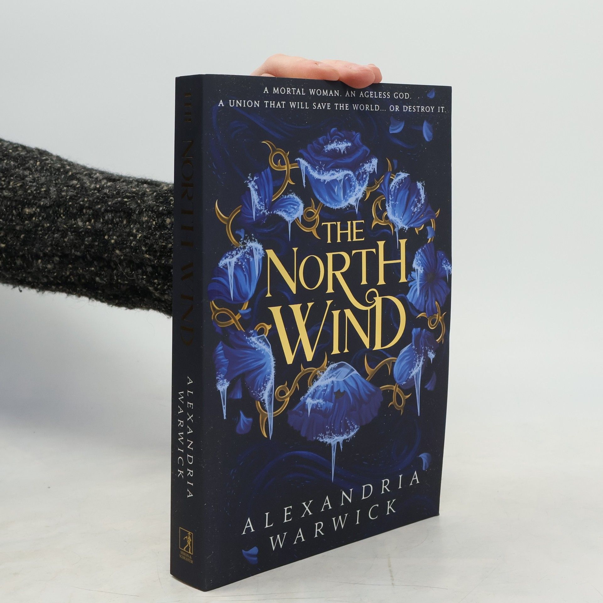 Alexandria Warwick The North Wind: The TikTok sensation! An enthralling enemies-to-lovers romantasy, the first in the Four Winds series