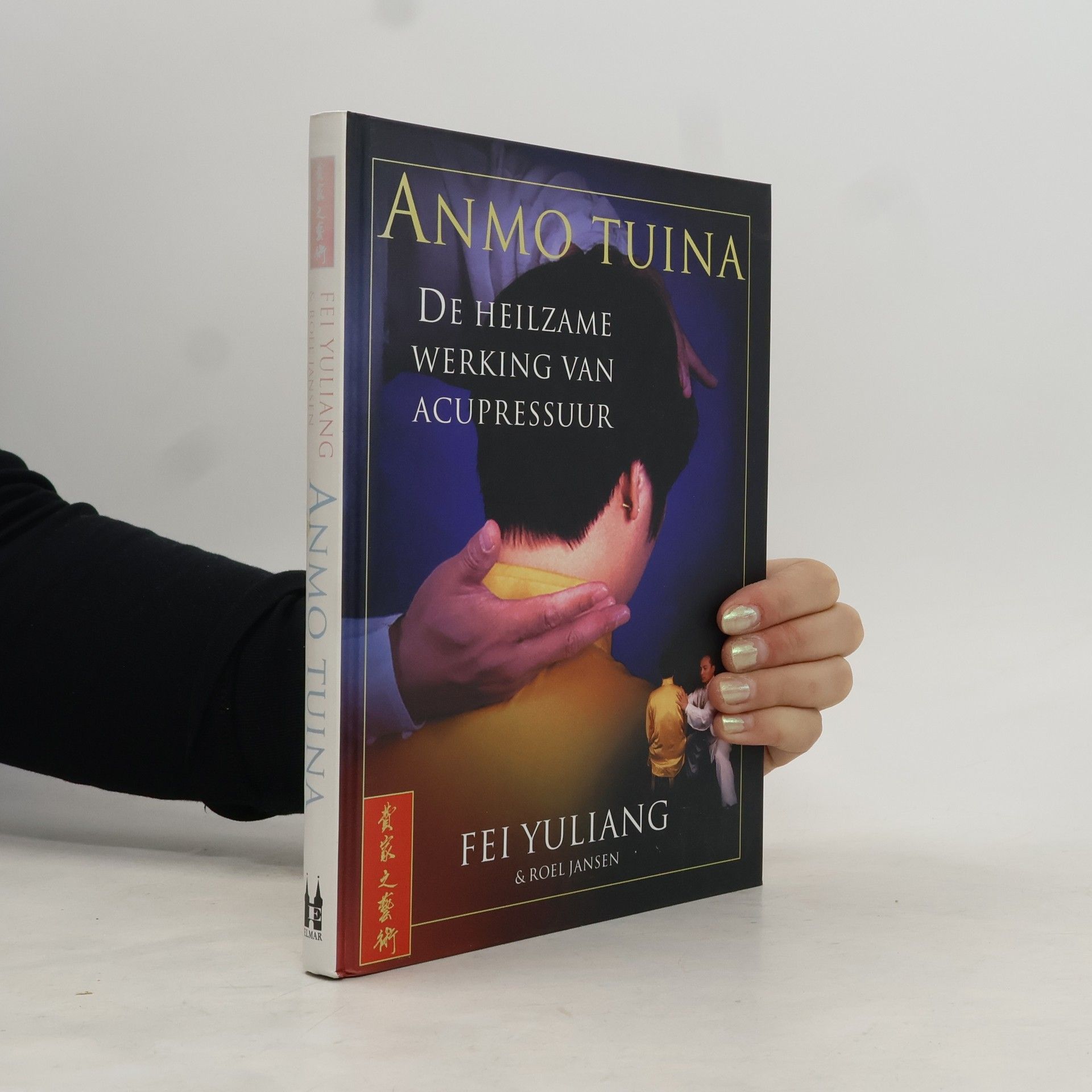 Fei Yuliang Anmo Tuina