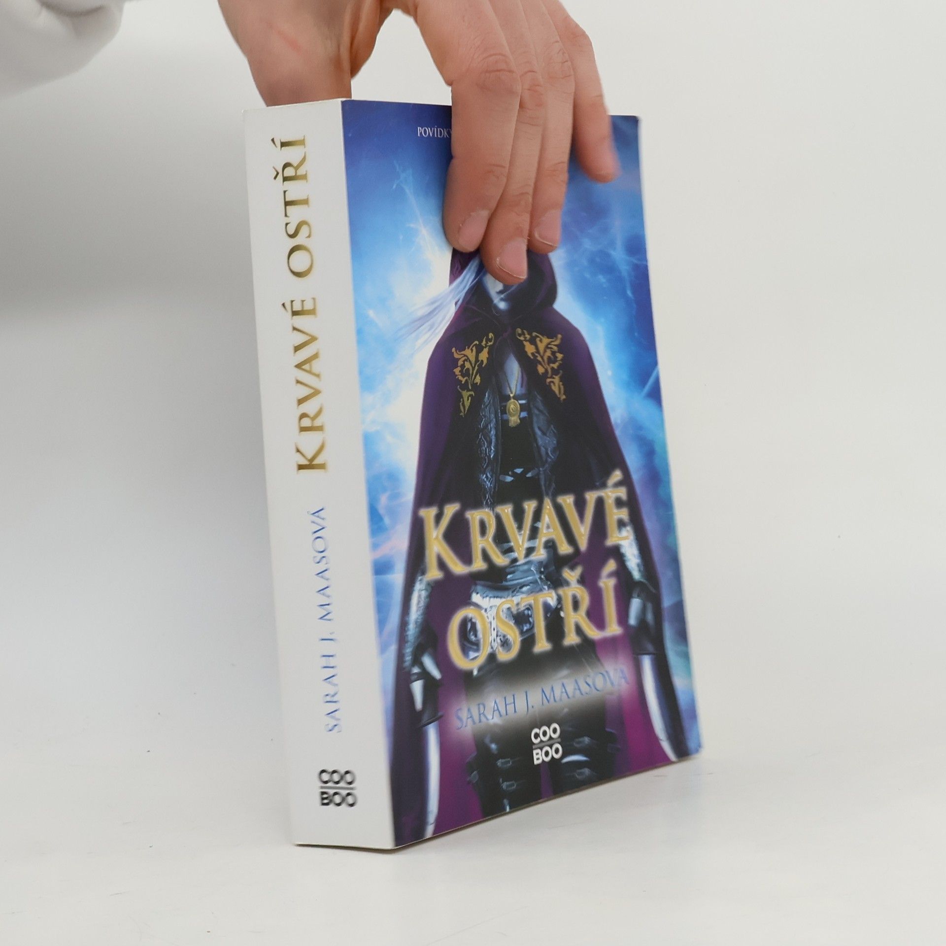 Sarah J. Maas Krvavé ostří