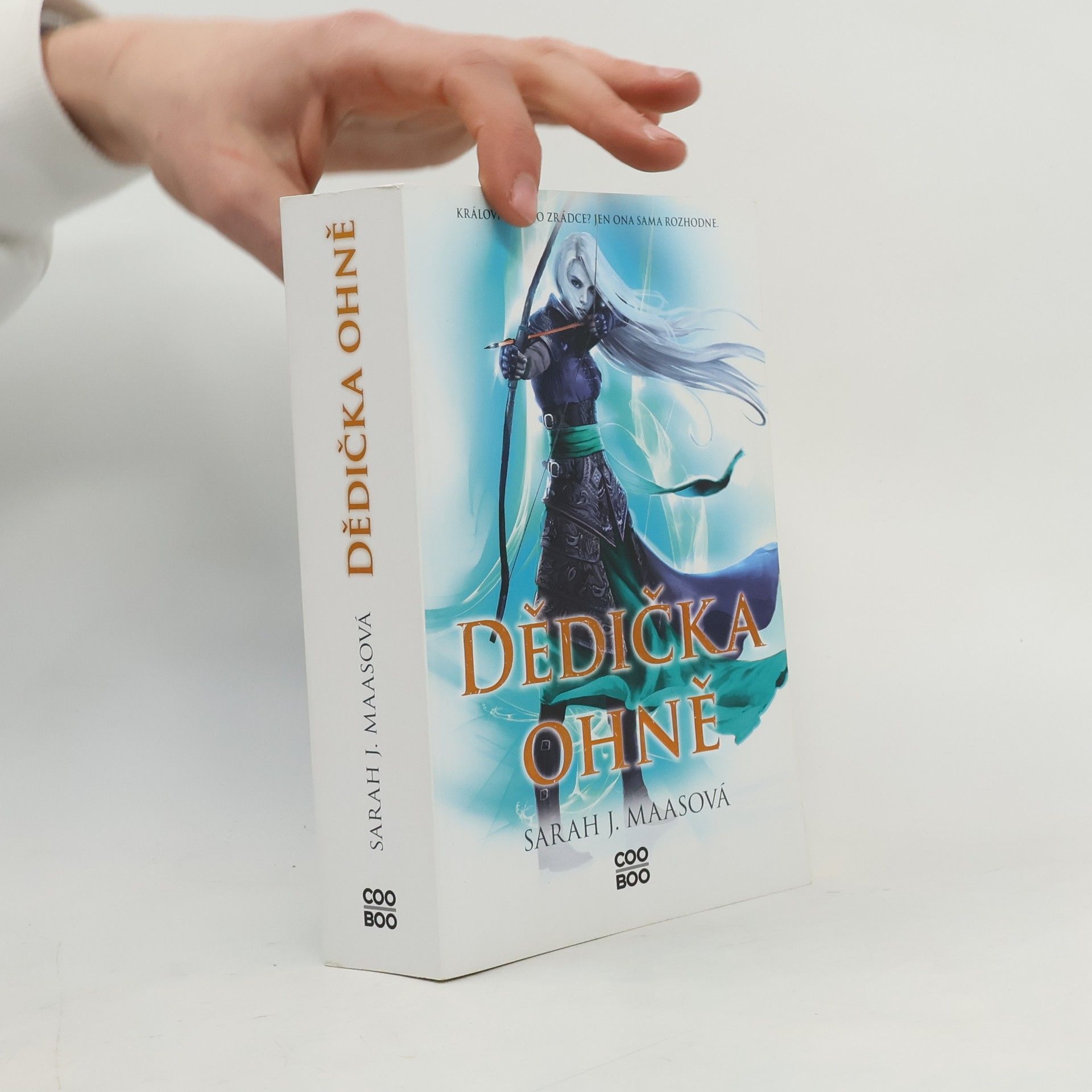 Sarah J. Maas Dědička ohně