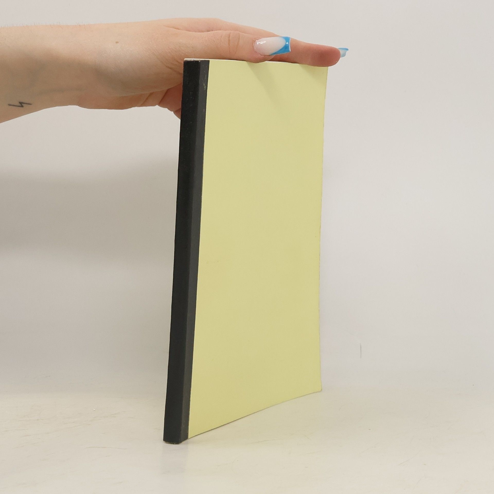 Kolektiv autorů Die Zwölf Stunden