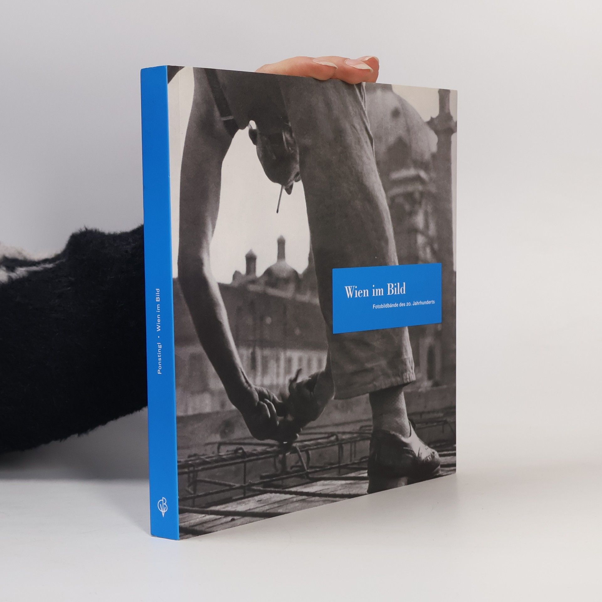 Michael Ponstingl Wien im Bild