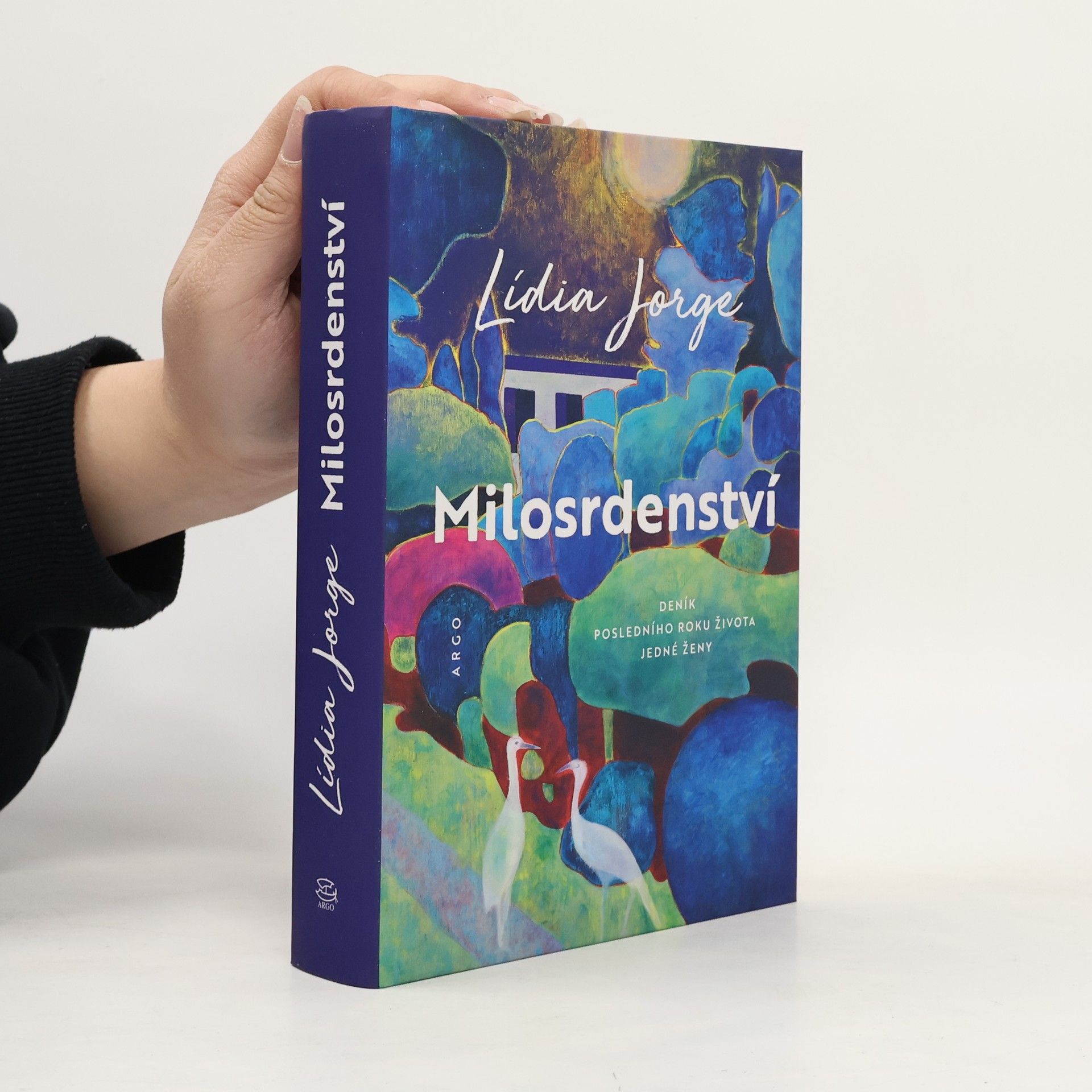 Lídia Jorge Milosrdenství