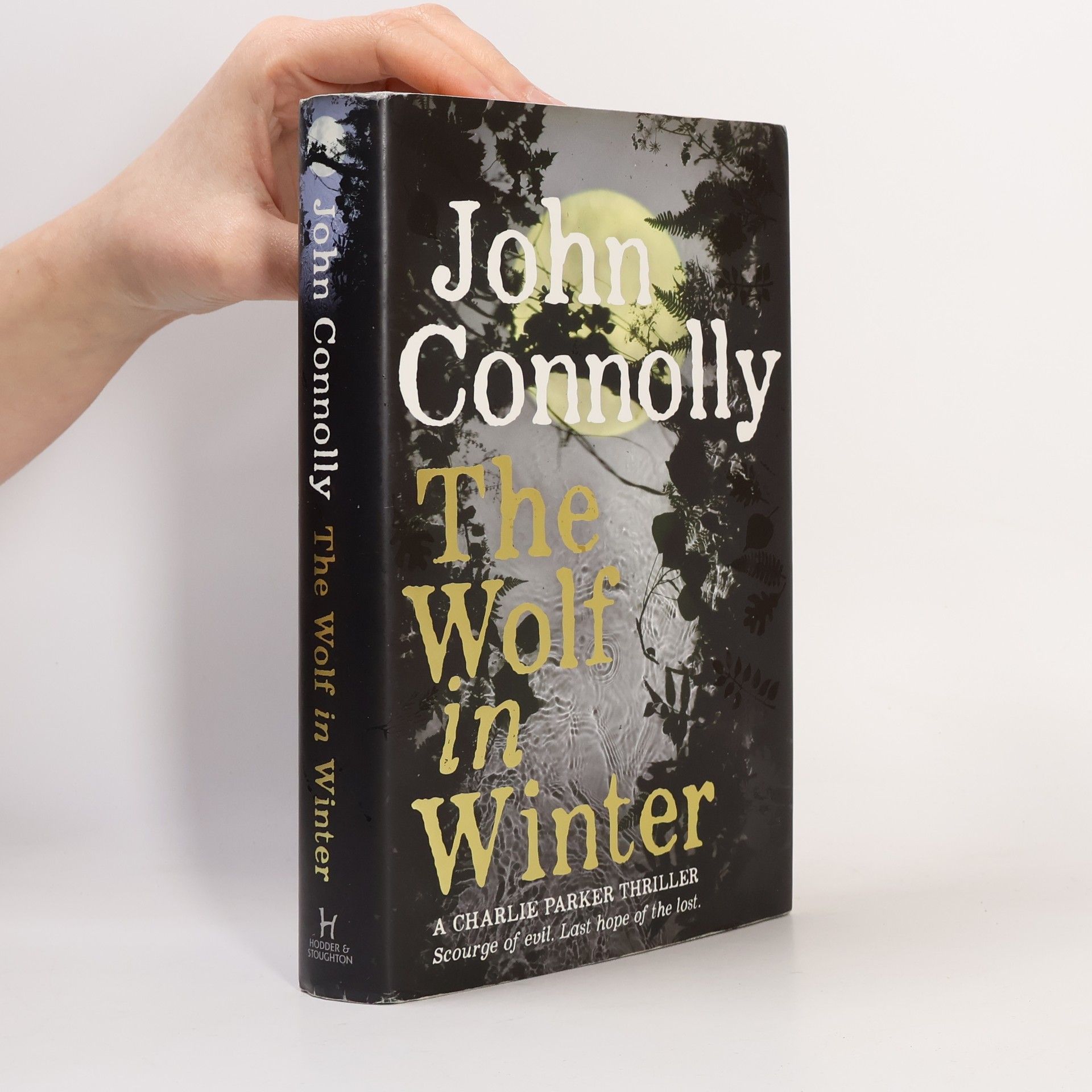 John Connolly Charlie Parker Thriller - 12: The Wolf in Winter