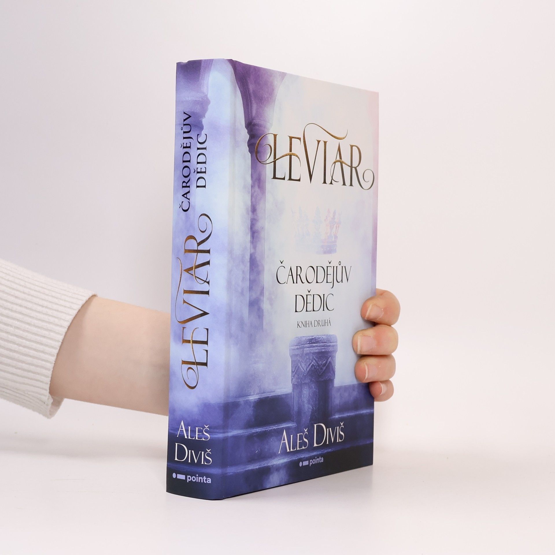 Aleš Diviš Čarodějův dědic