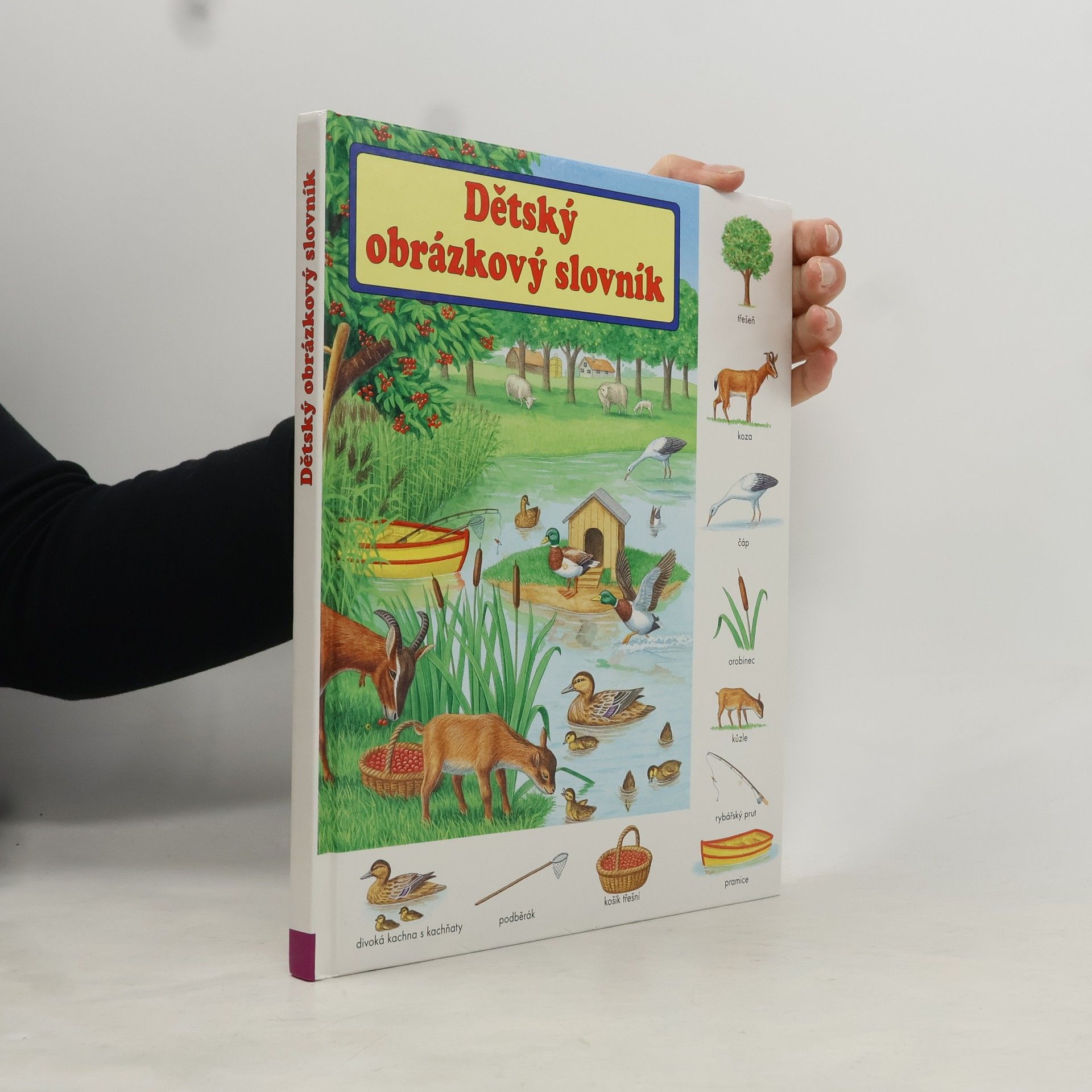 Gisela Fischer-Lingat Dětský obrázkový slovník