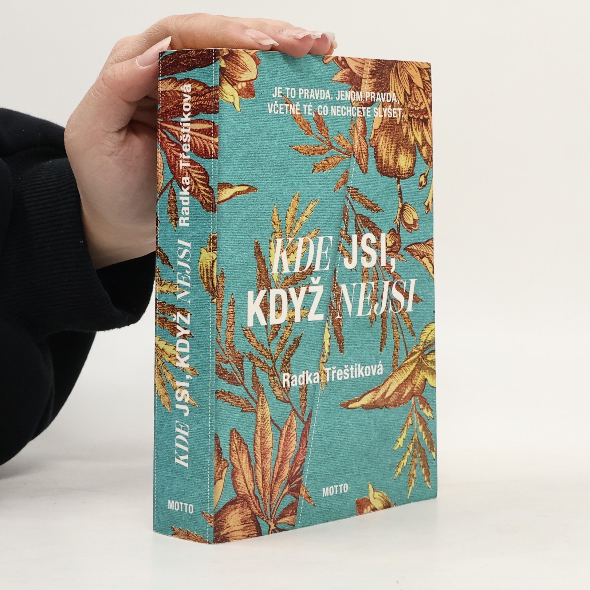 Radka Třeštíková Kde jsi, když nejsi