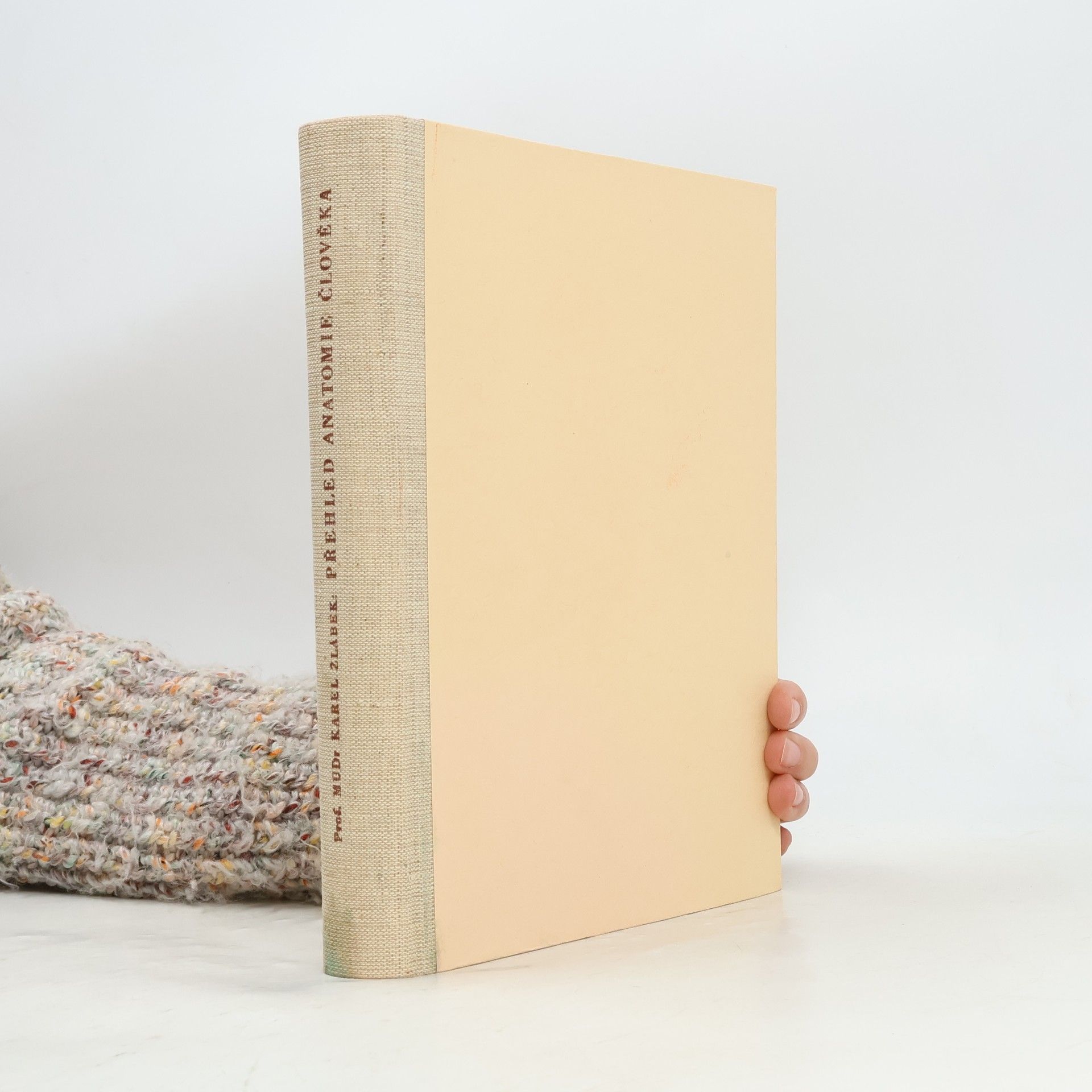 Přehled anatomie člověka