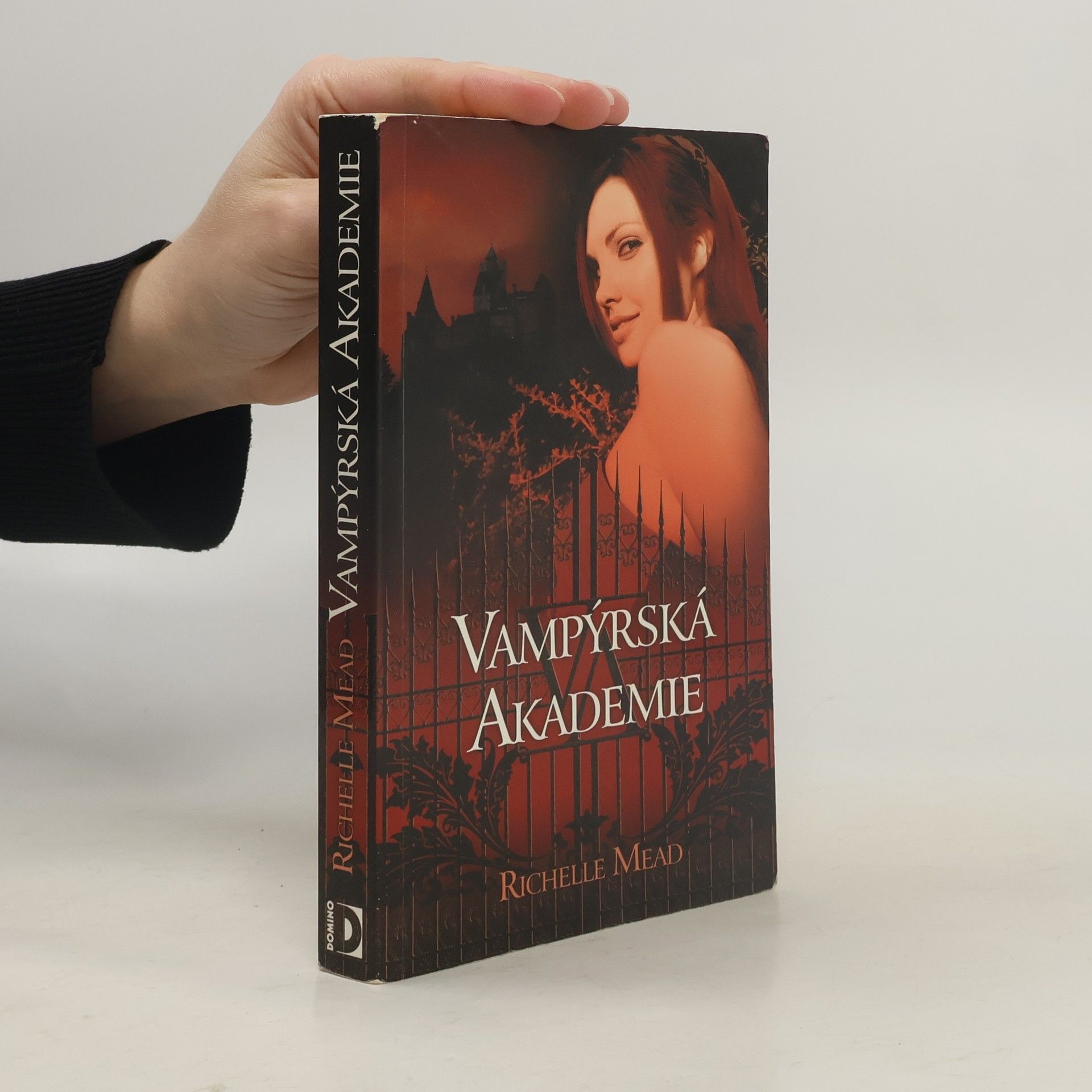 Richelle Mead Vampýrská akademie