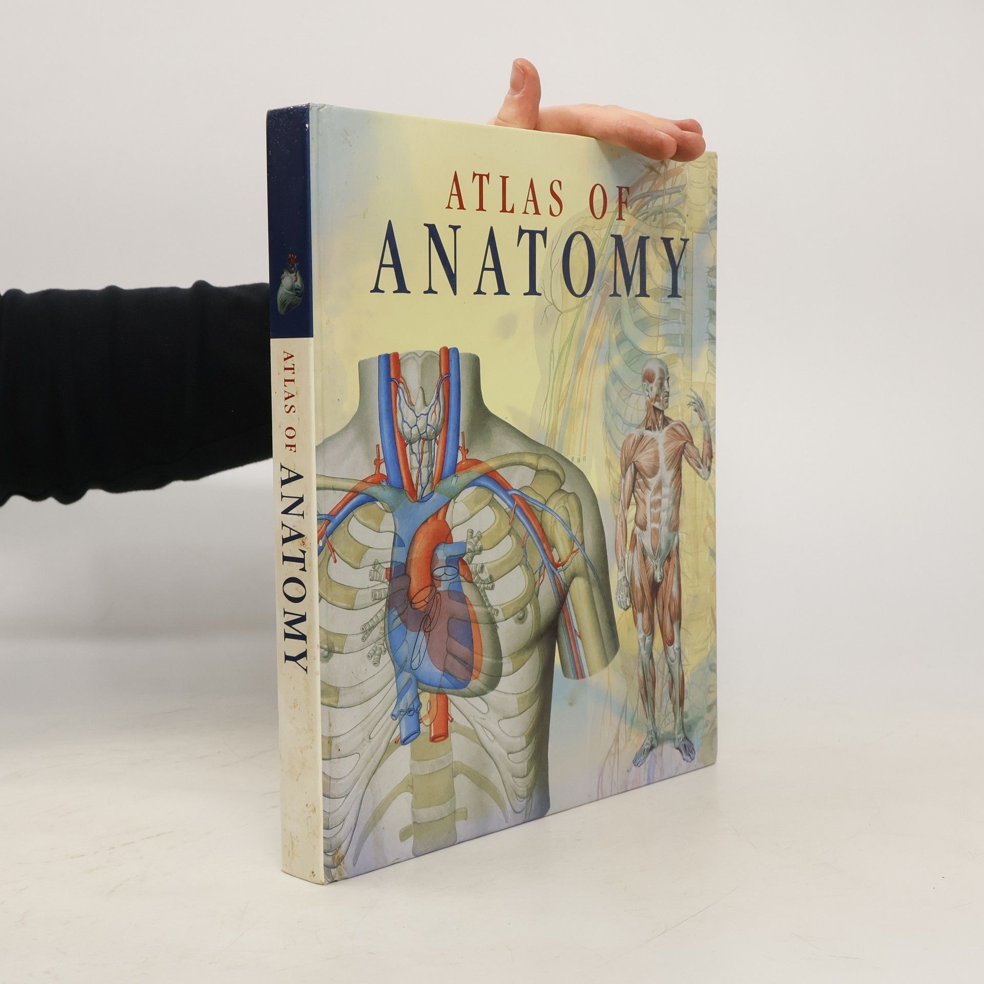 Autorenkollektiv Atlas of Human Anatomy