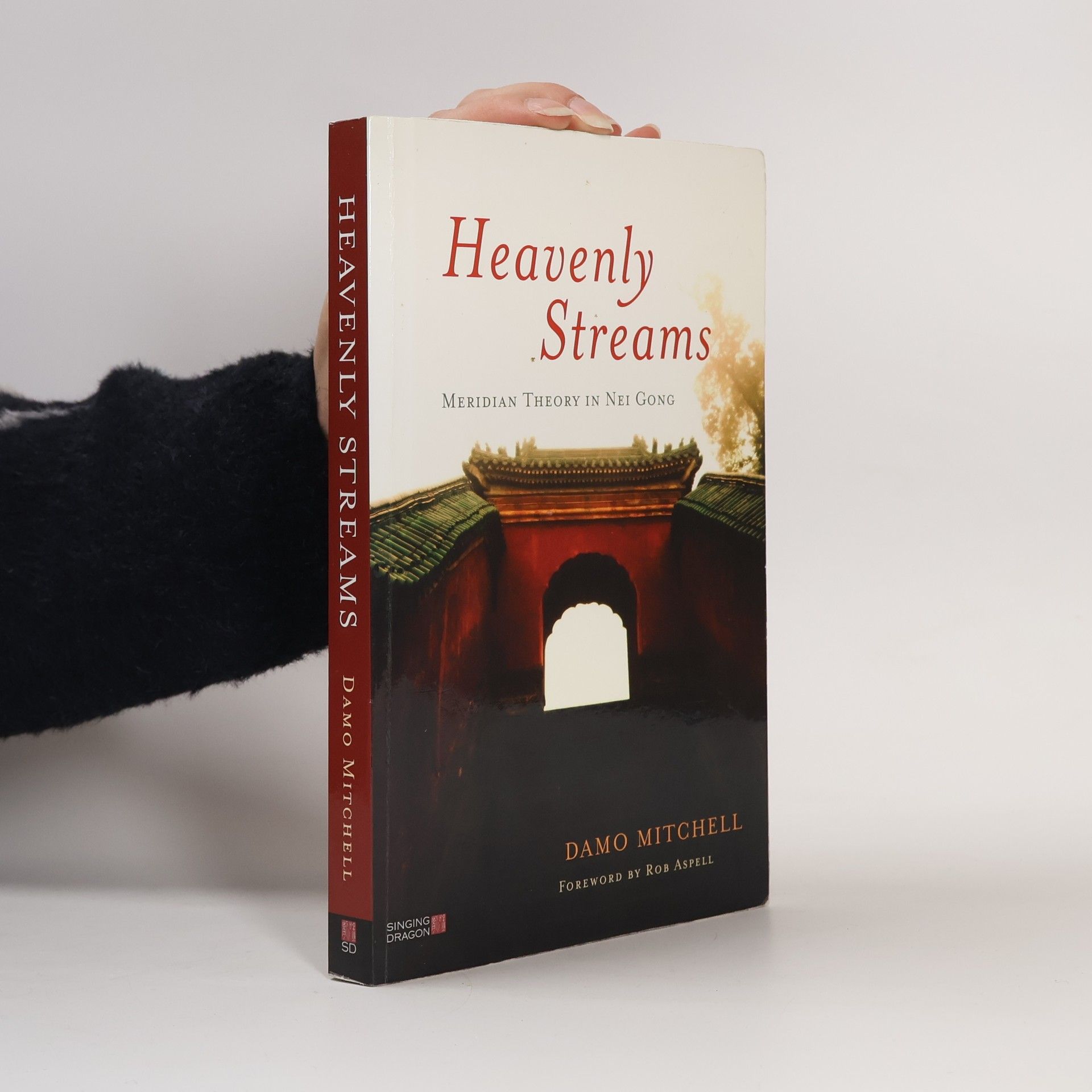 Damo Mitchell Daoist Nei Gong: Heavenly Streams