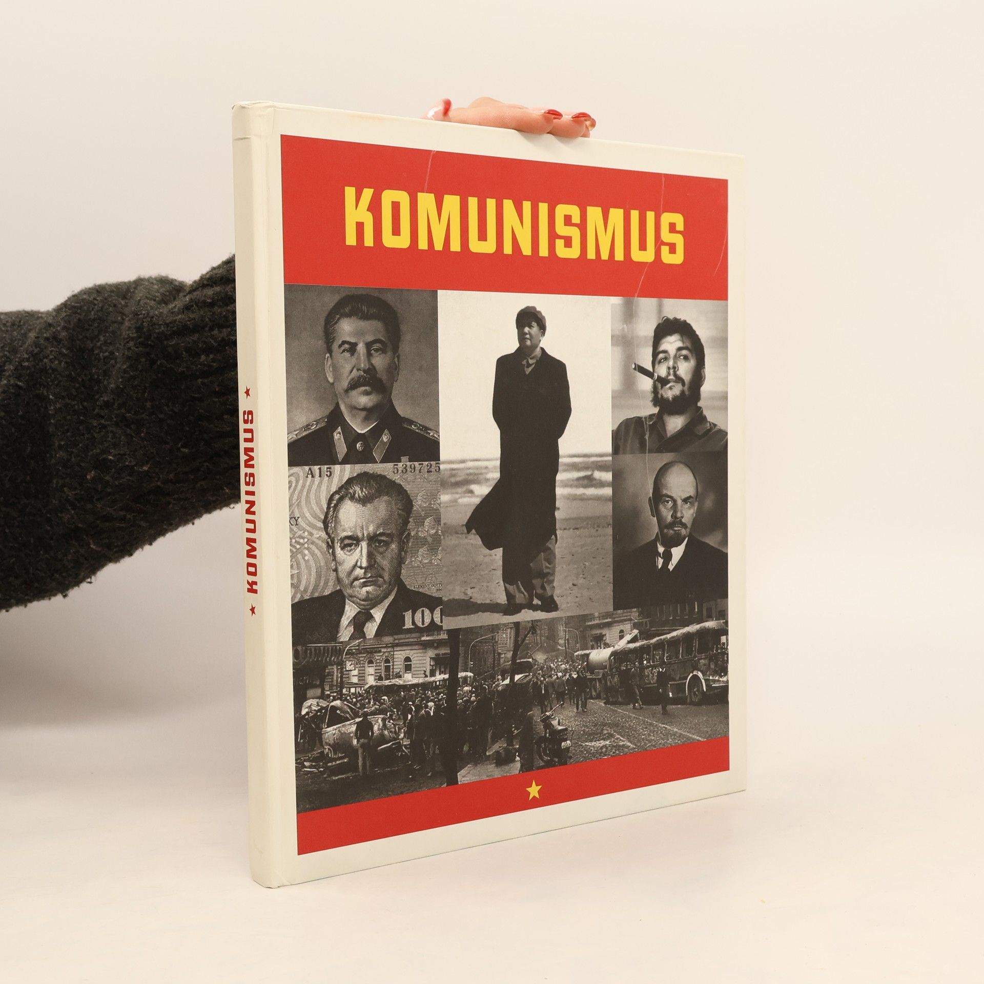 Marcello Flores Komunismus