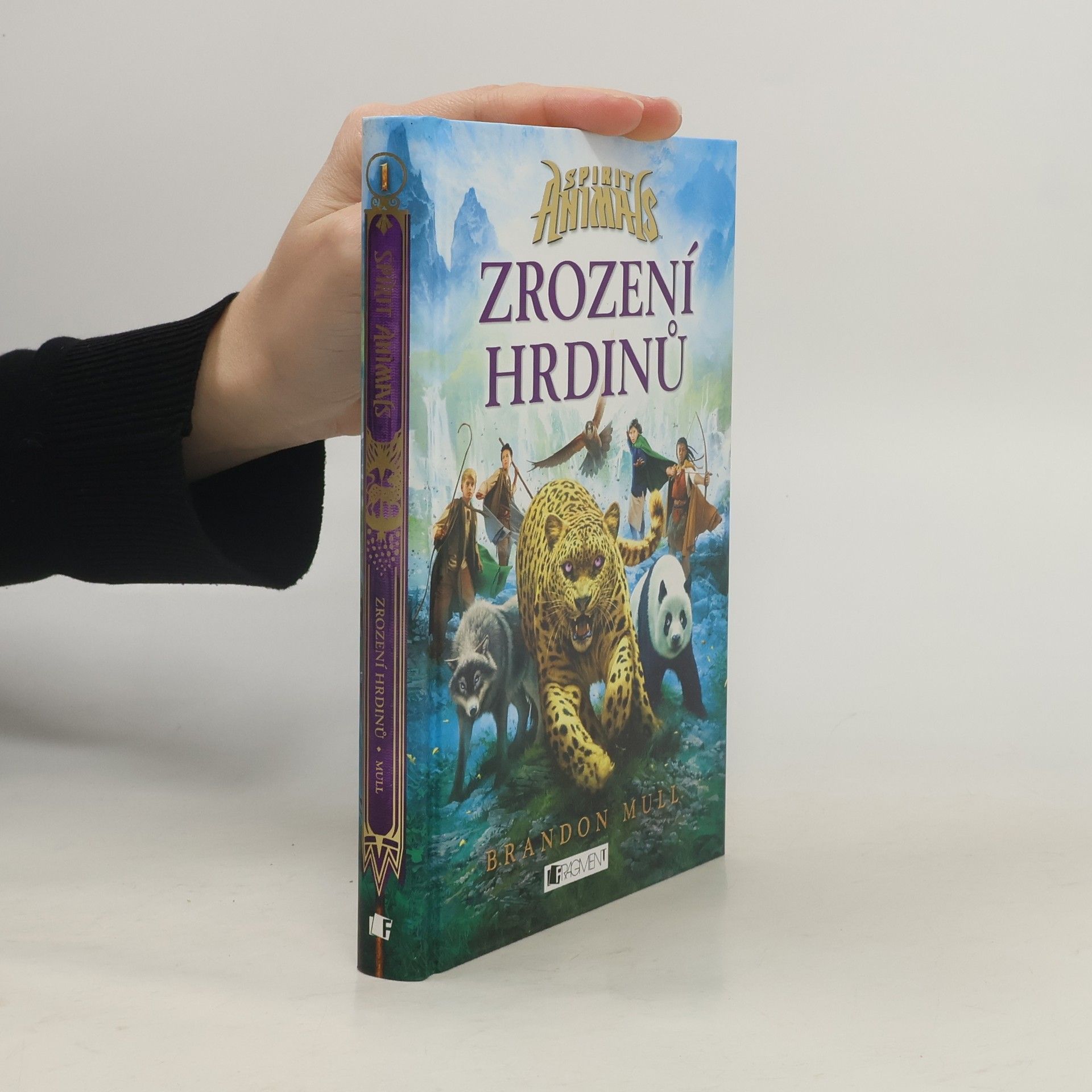 Brandon Mull Zrození hrdinů