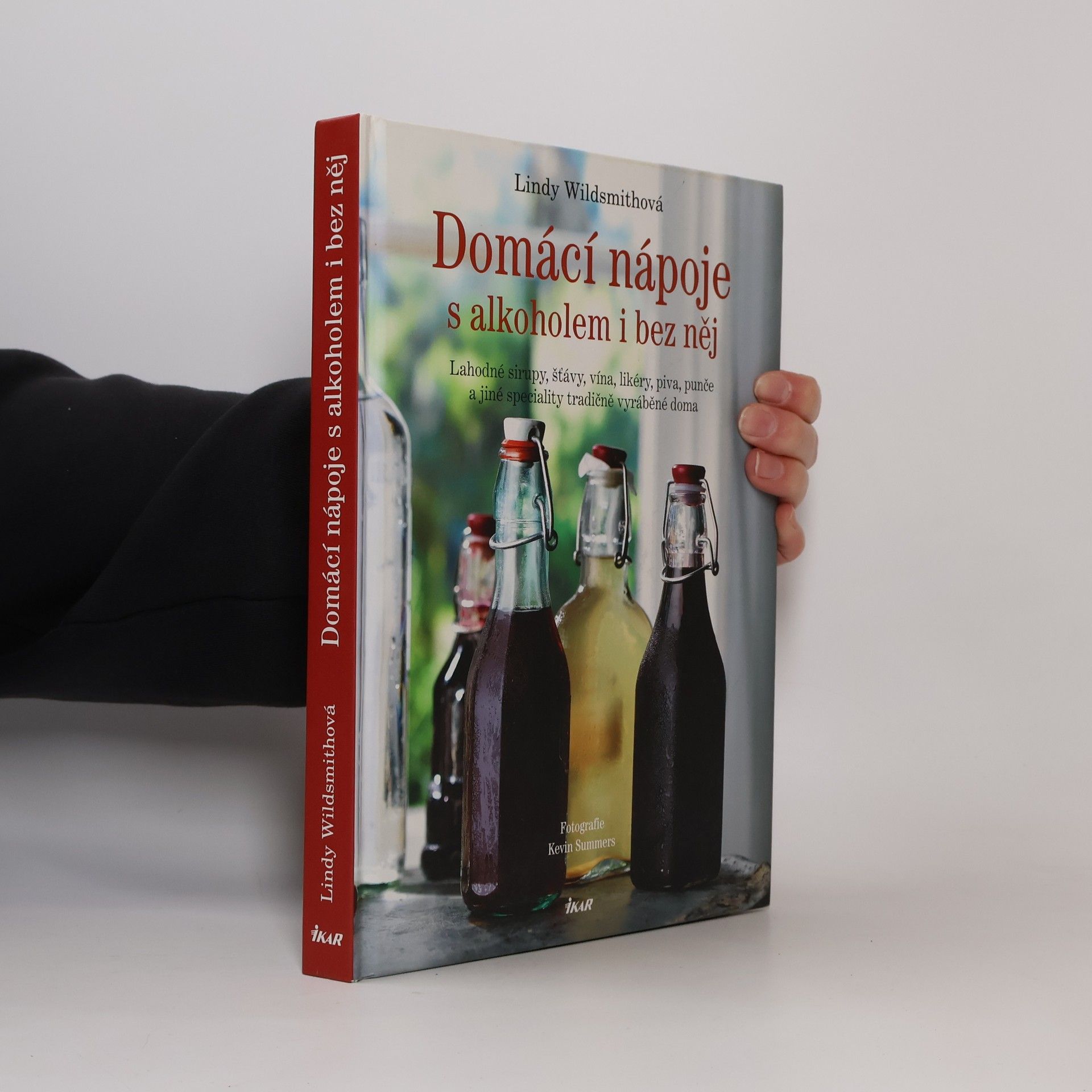 Lindy Wildsmith Domácí nápoje s alkoholem i bez něj