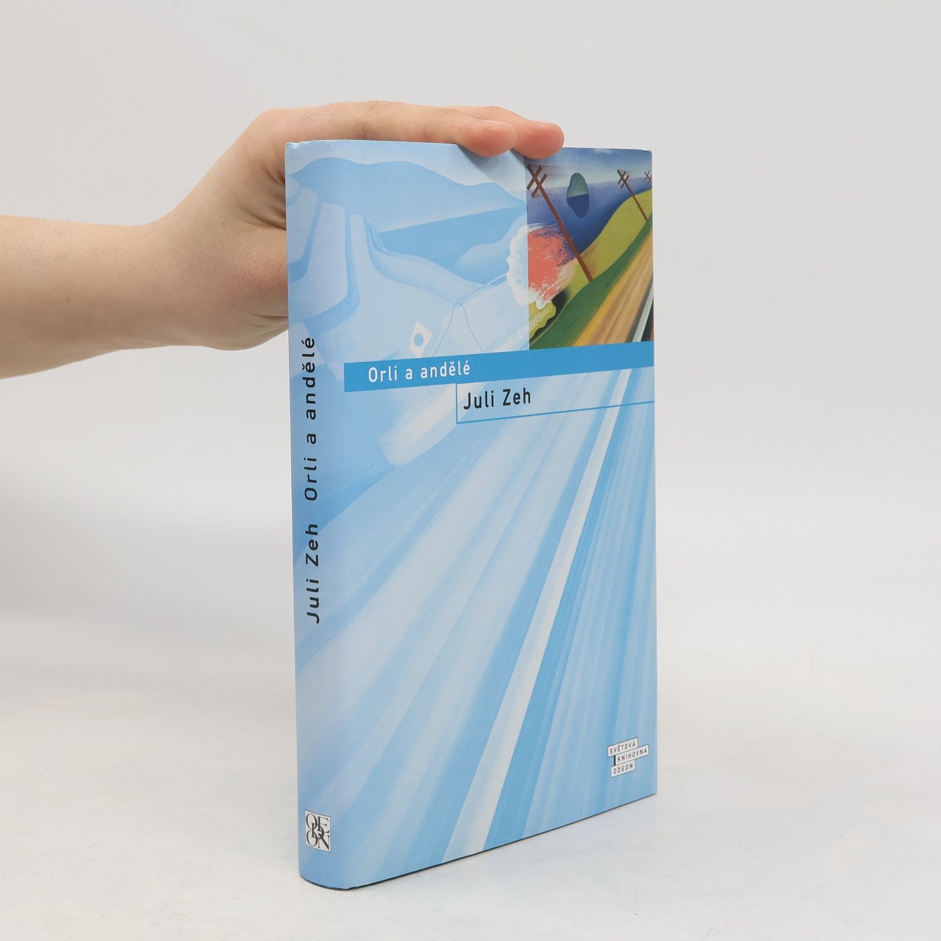 Juli Zeh Orli a andělé
