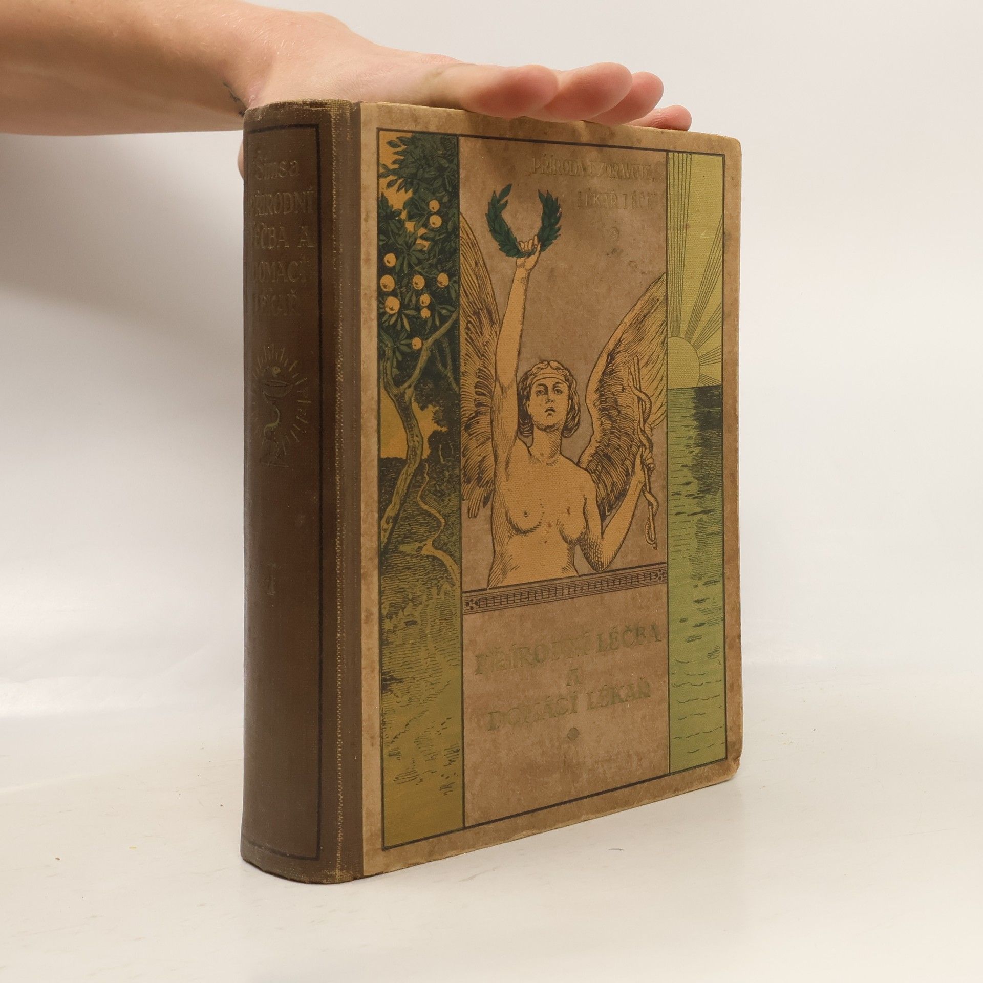 Přírodní léčba a domácí lékař I.