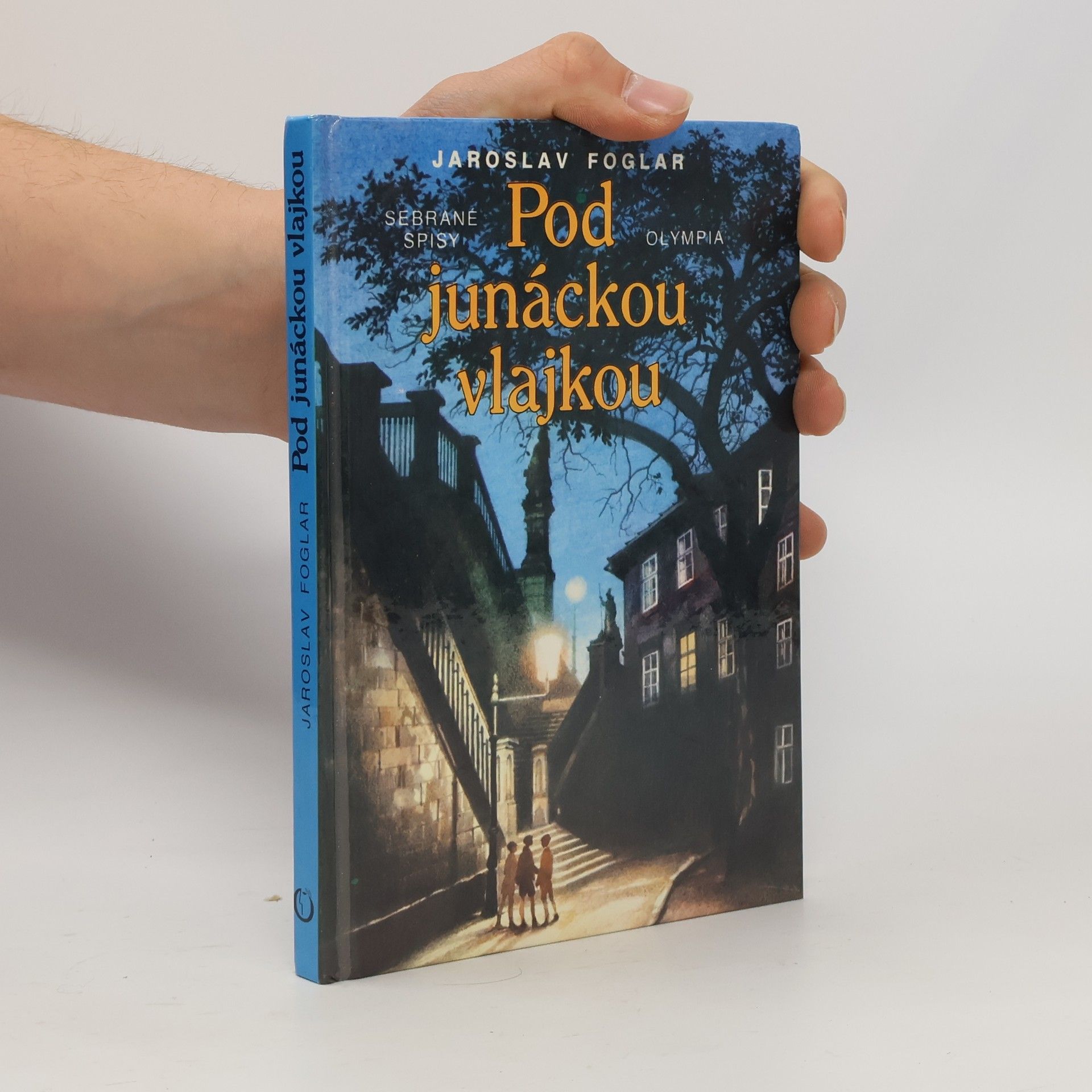 Pod junáckou vlajkou