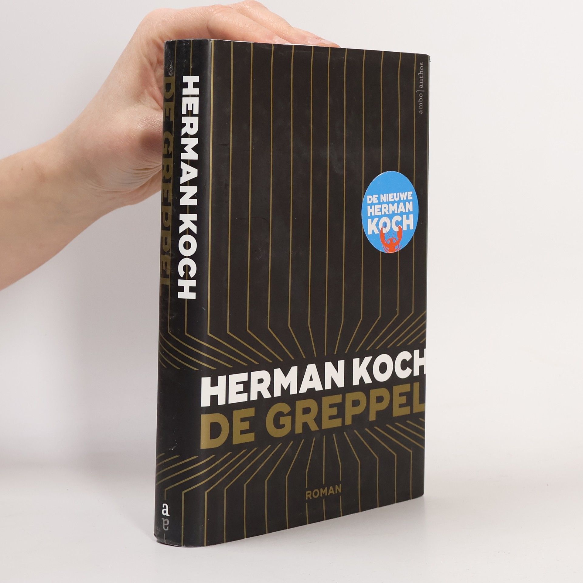 Herman Koch De greppel