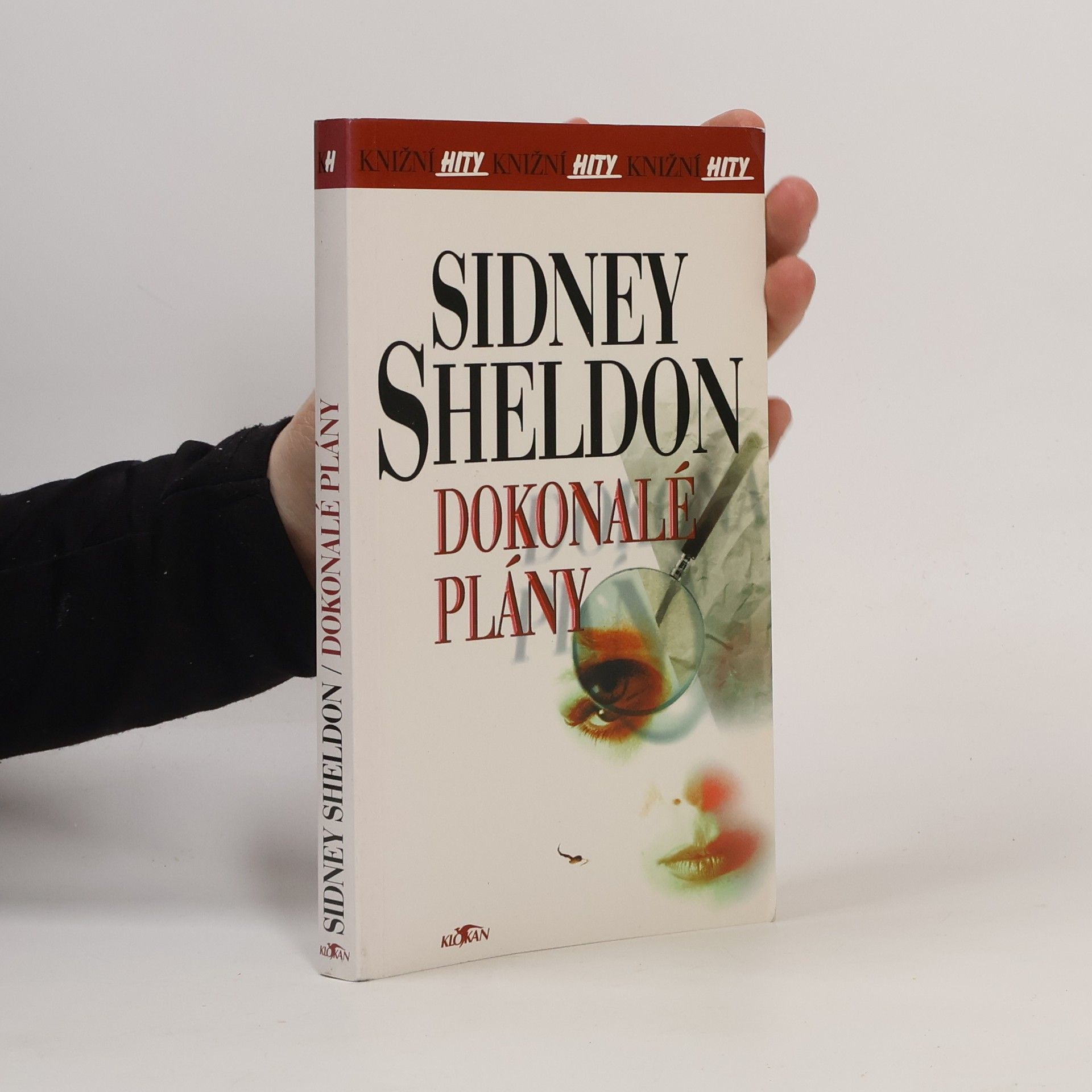 Sidney Sheldon Dokonalé plány