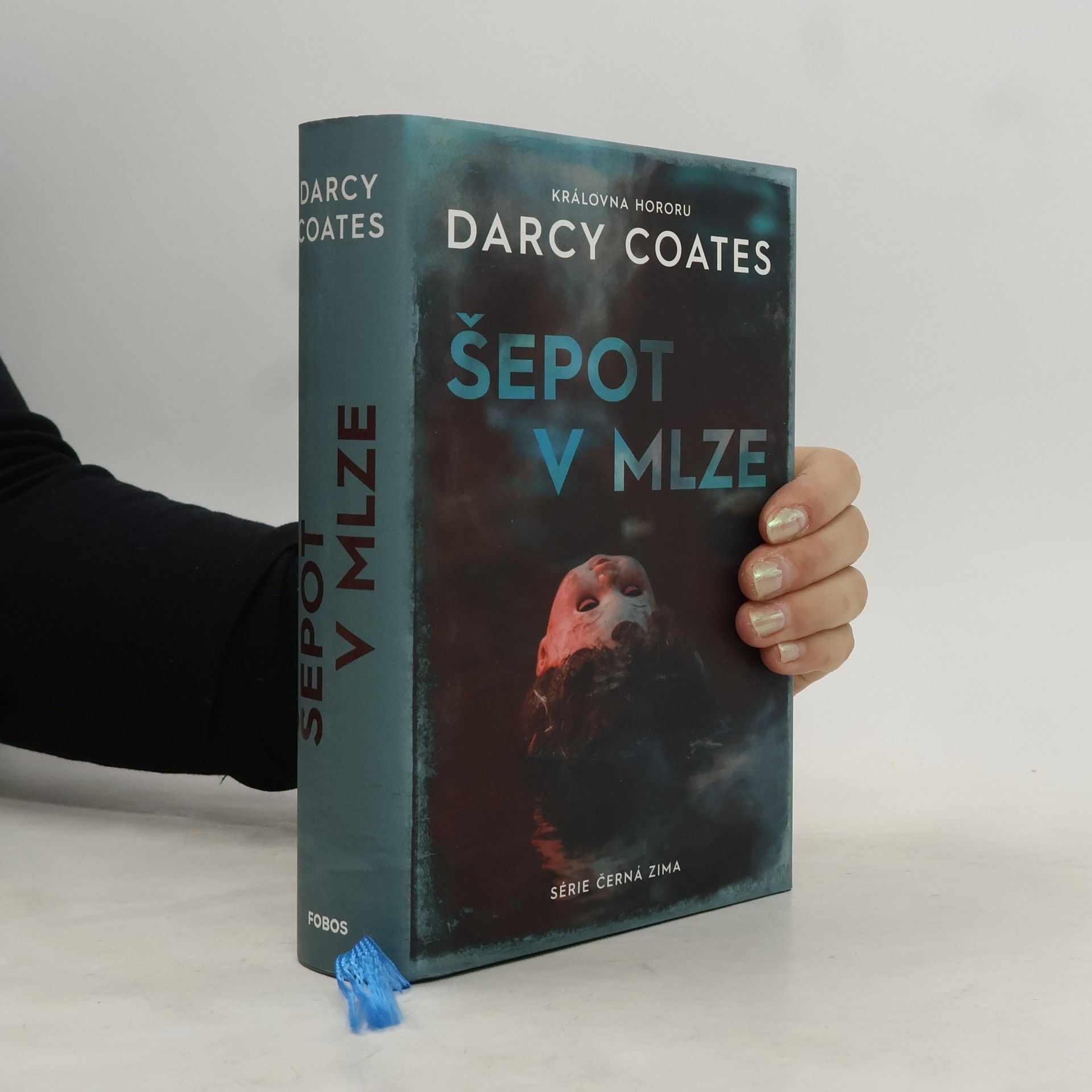 Darcy Coates Šepot v mlze