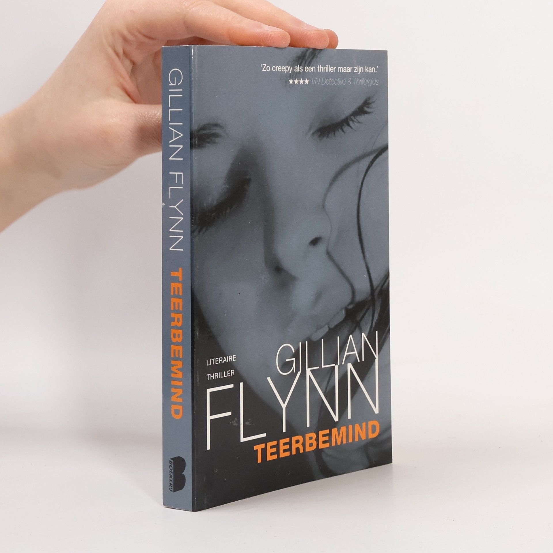 Gillian Flynn Teerbemind