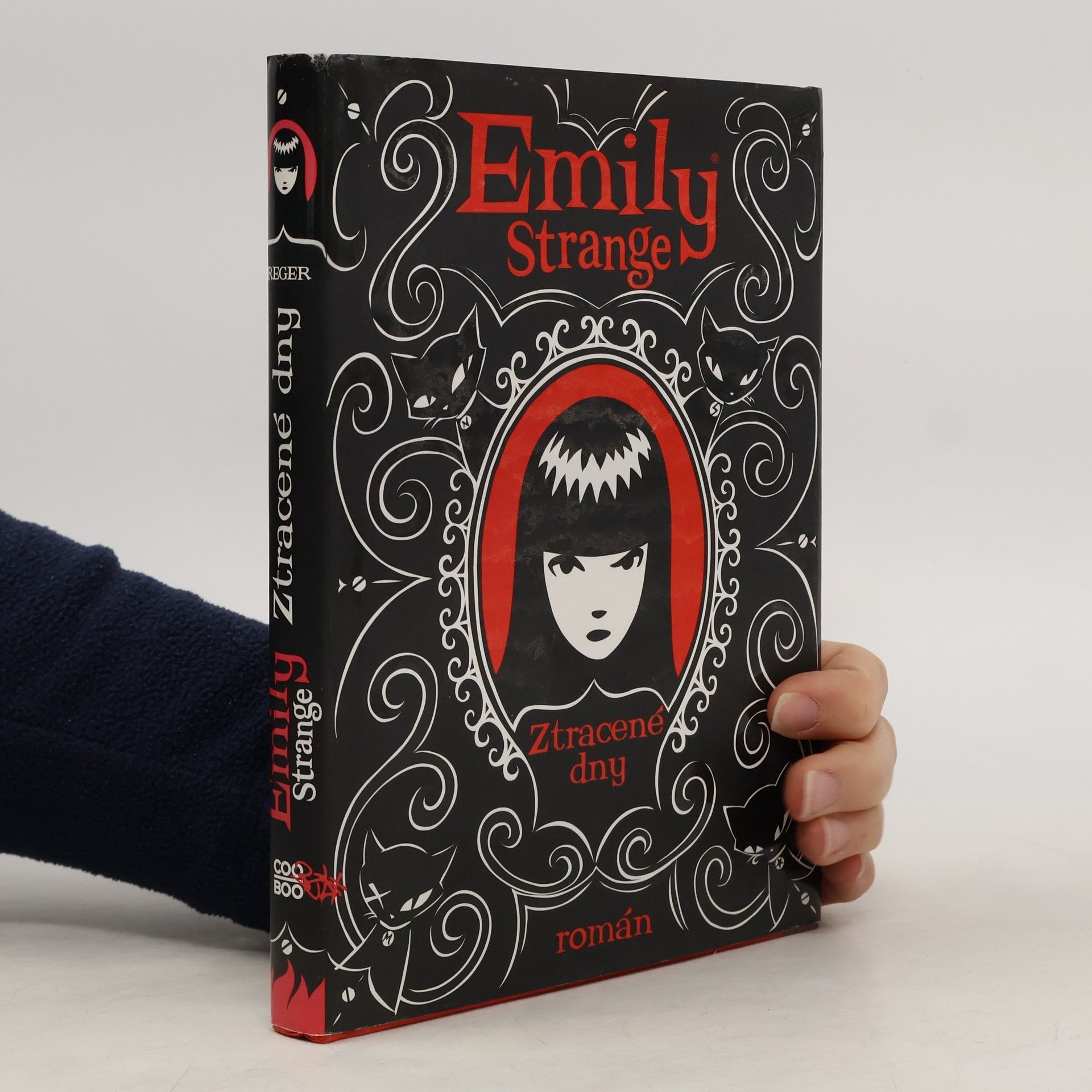 Emily Strange. Ztracené dny