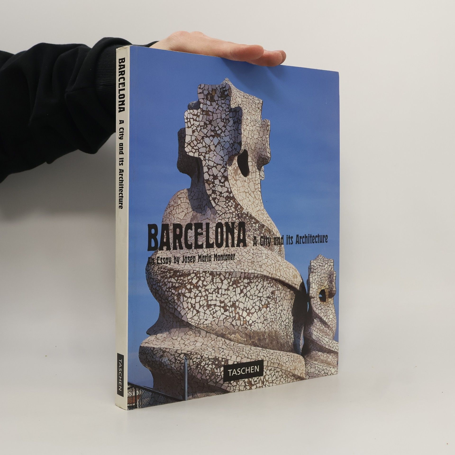 Josep Maria Montaner Big Series Art: Barcelona