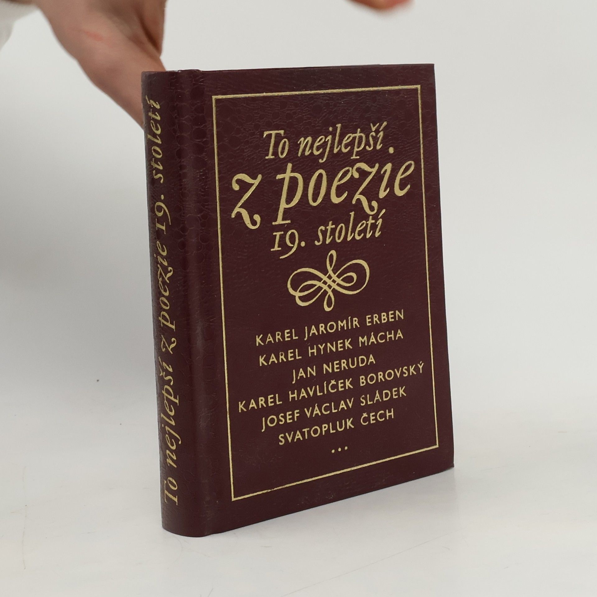 Autorenkollektiv To nejlepší z poezie 19. století