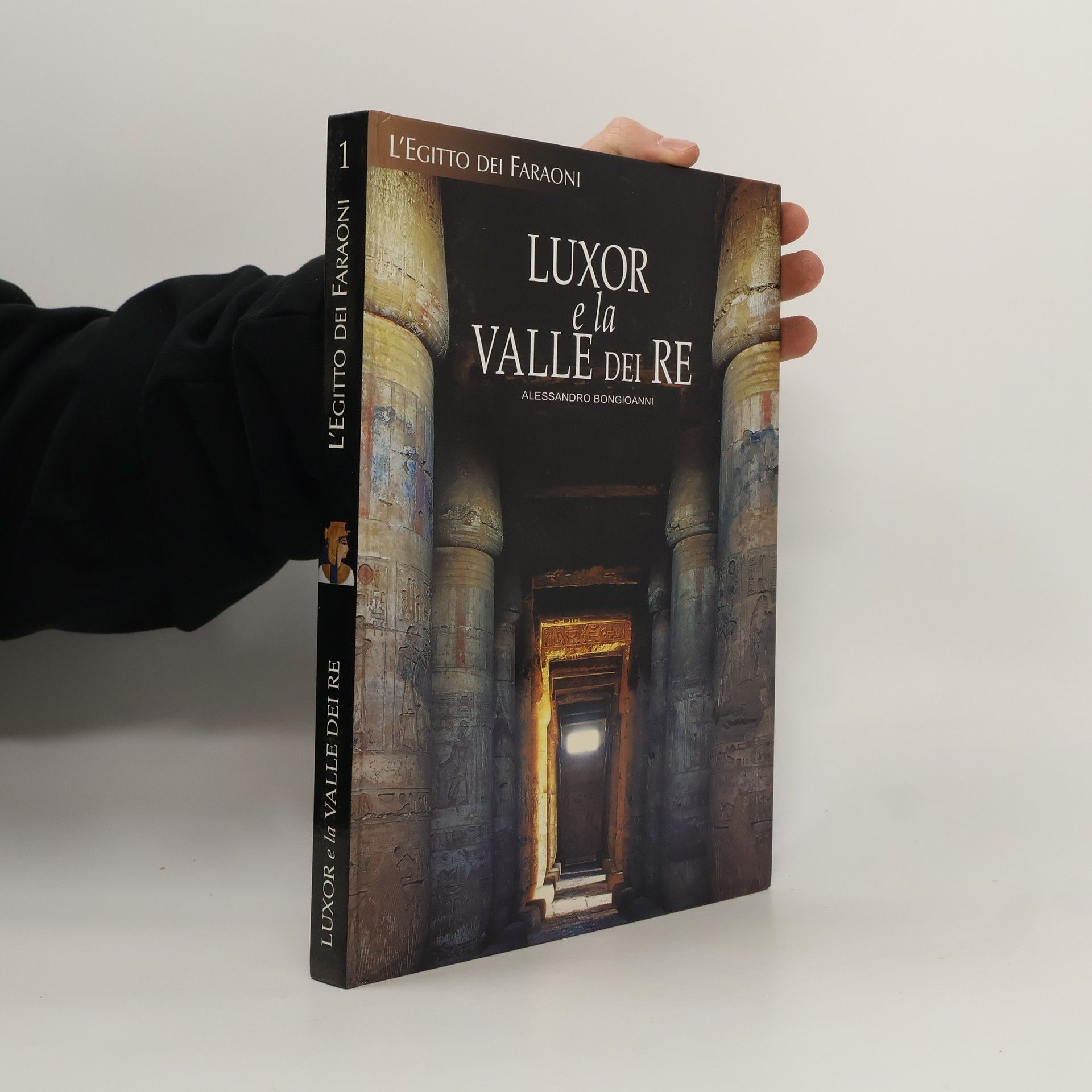 Autorenkollektiv Luxor e la Valle dei Re