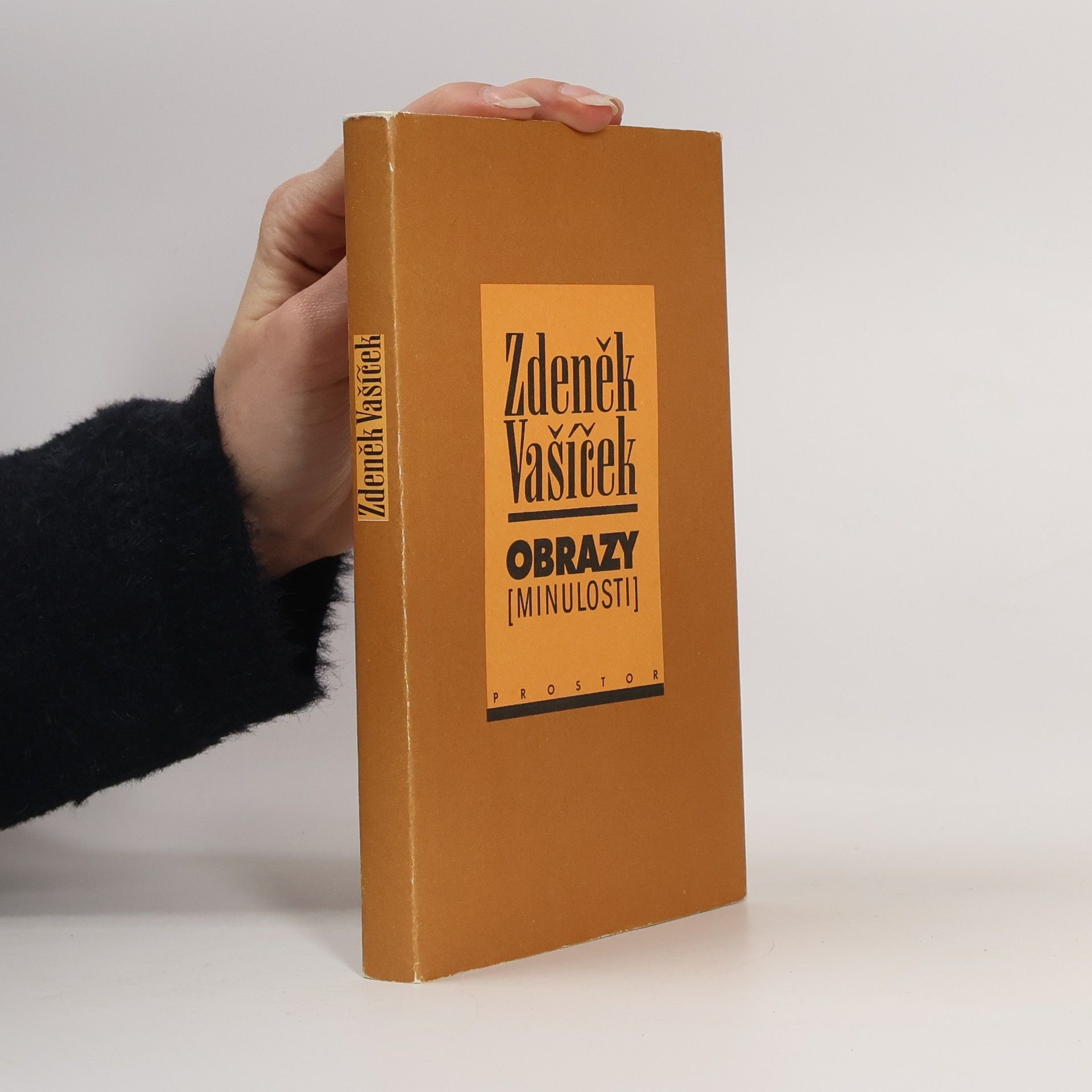 Zdeněk Vašíček Obrazy (minulosti) : o bytí, poznání a podání minulého času