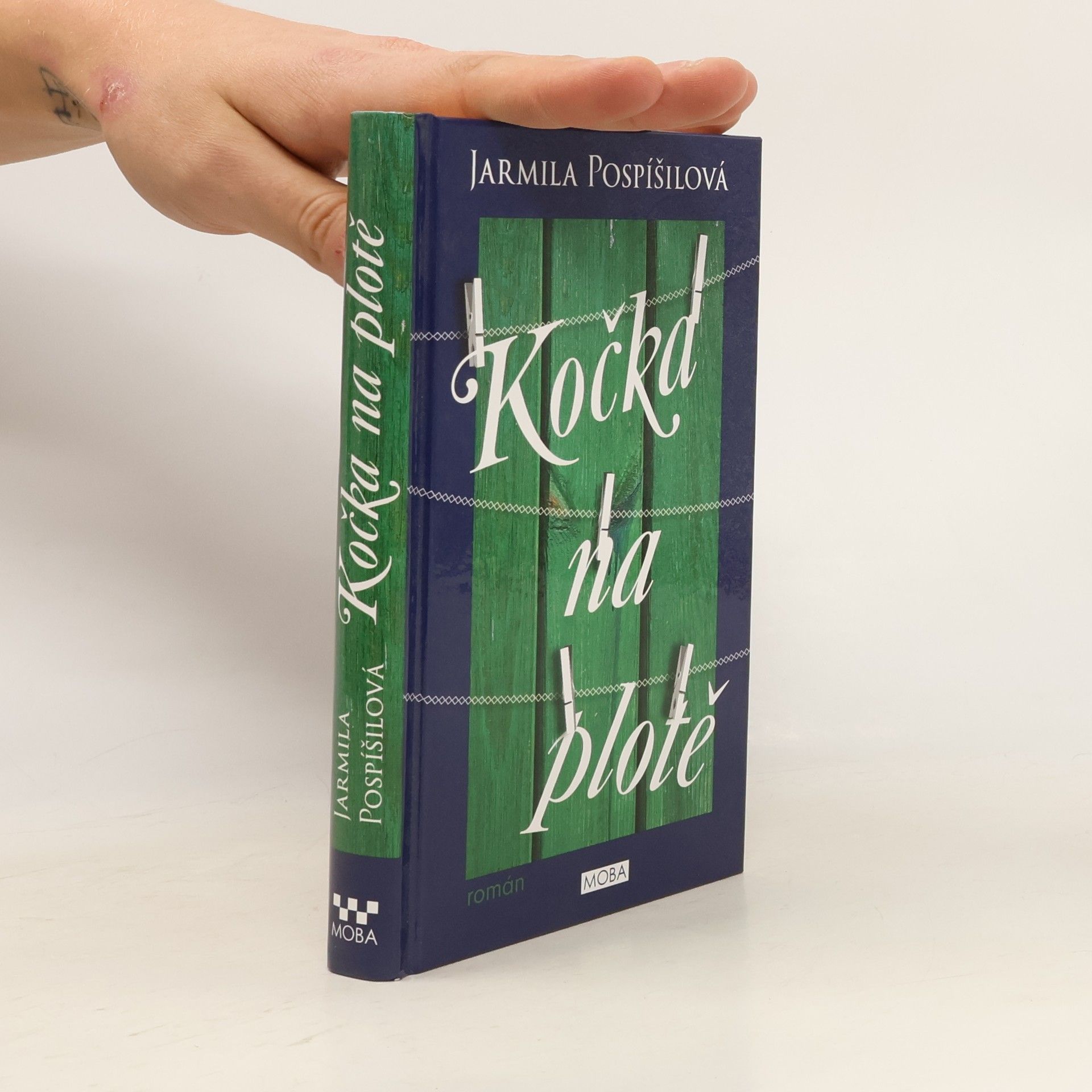 Jarmila Pospíšilová Kočka na plotě