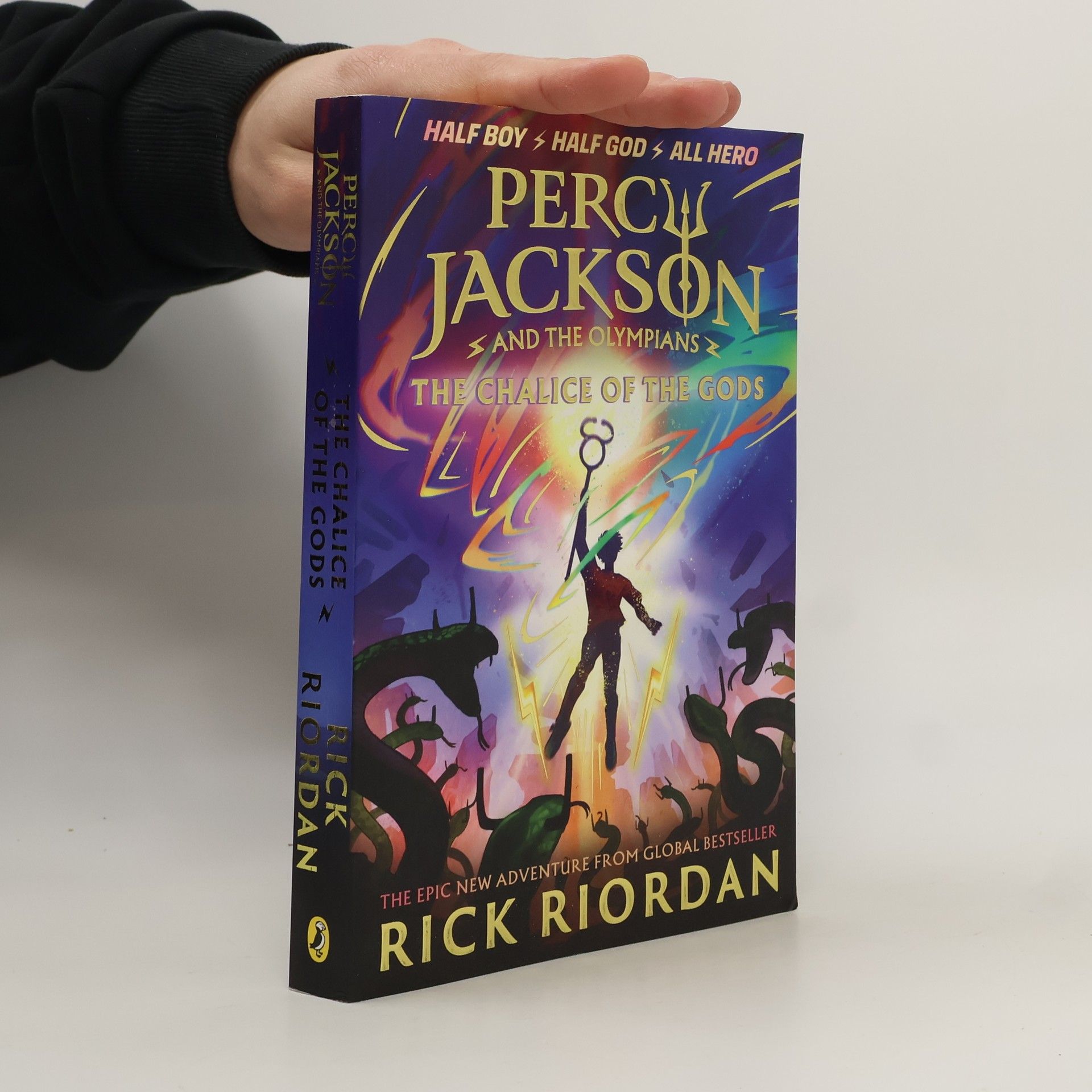 Rick Riordan Percy Jackson and the Olympians. The Chalice of the Gods
