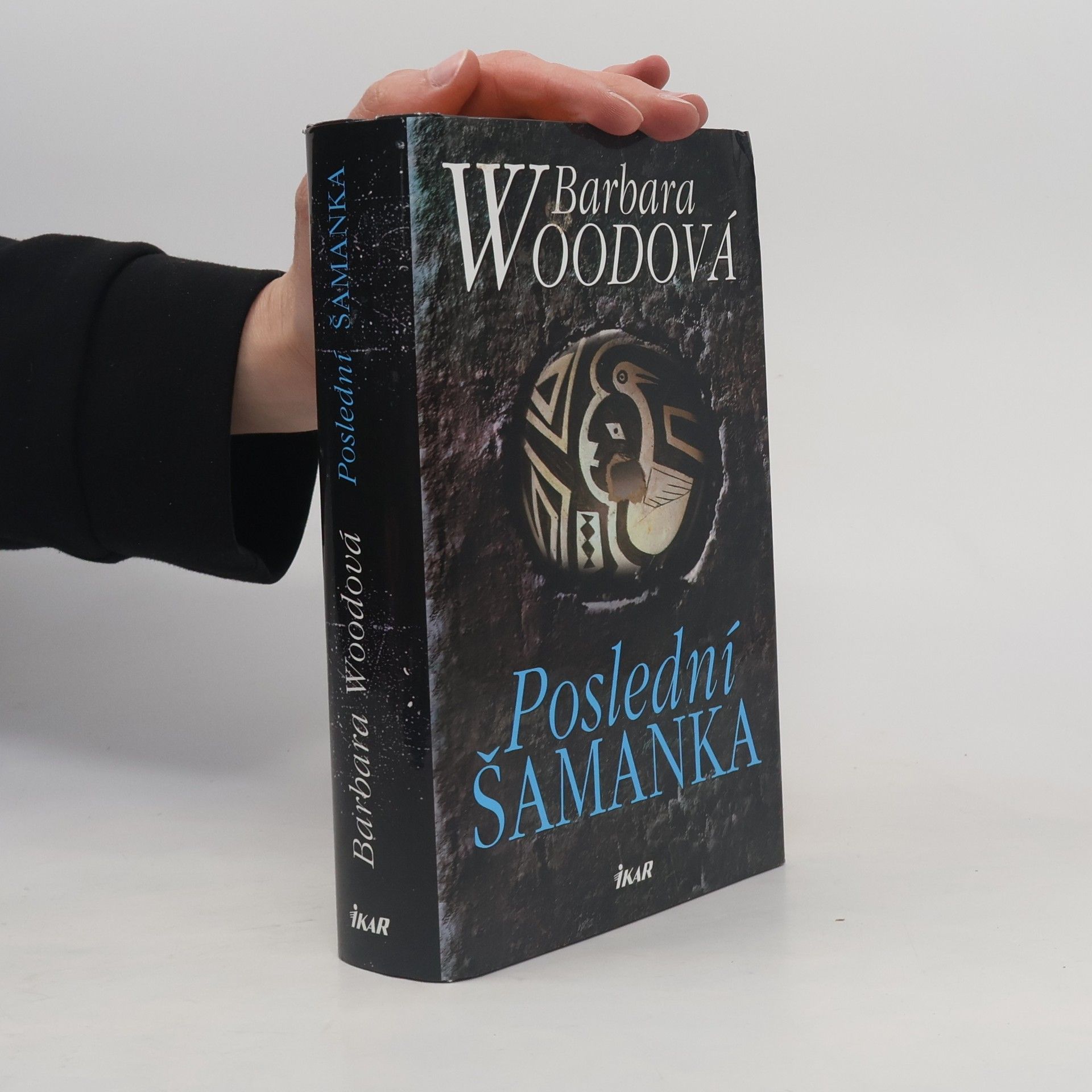 Barbara Wood Poslední šamanka