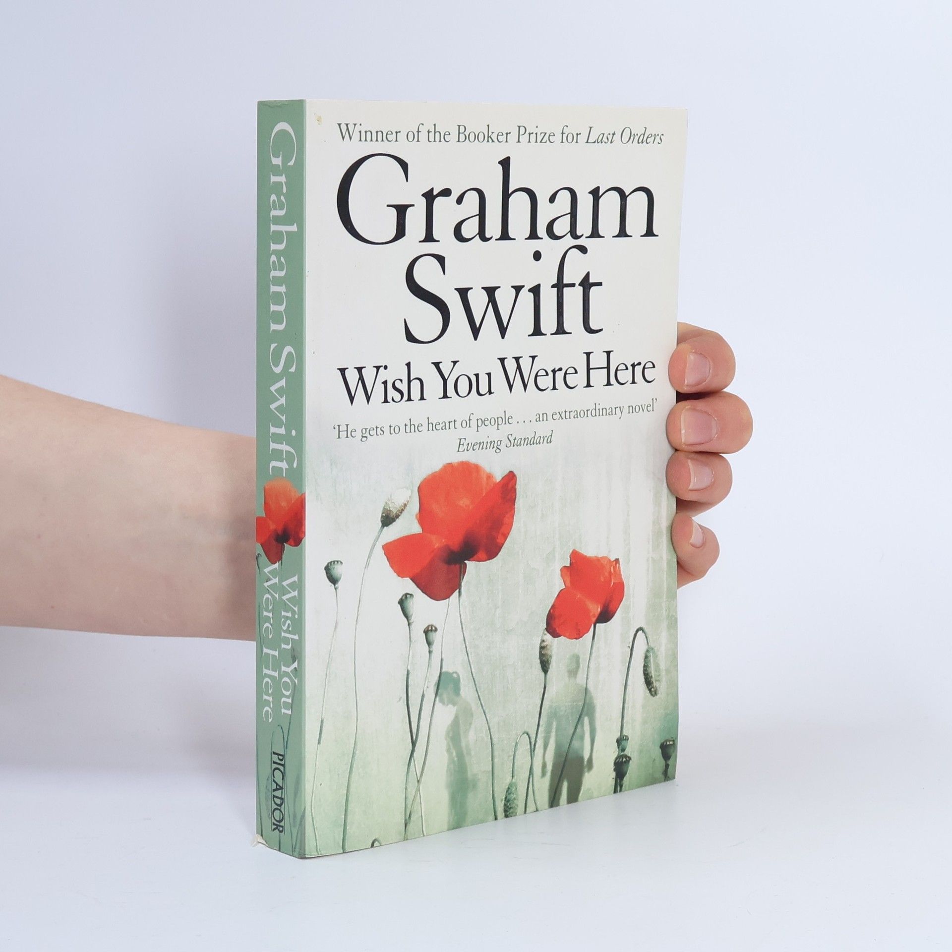 Graham Swift Wish You Were Here