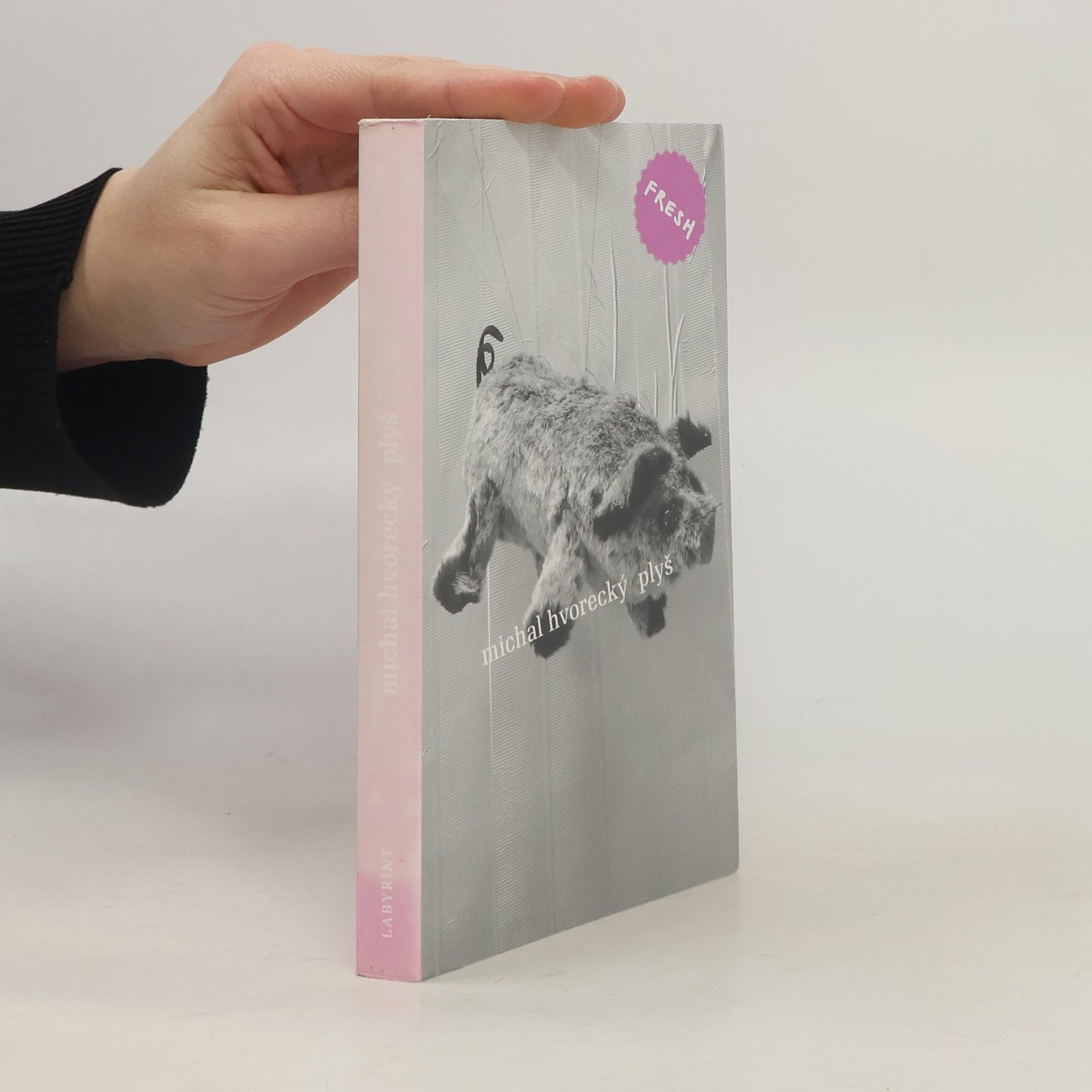 Michal Hvorecký Plyš