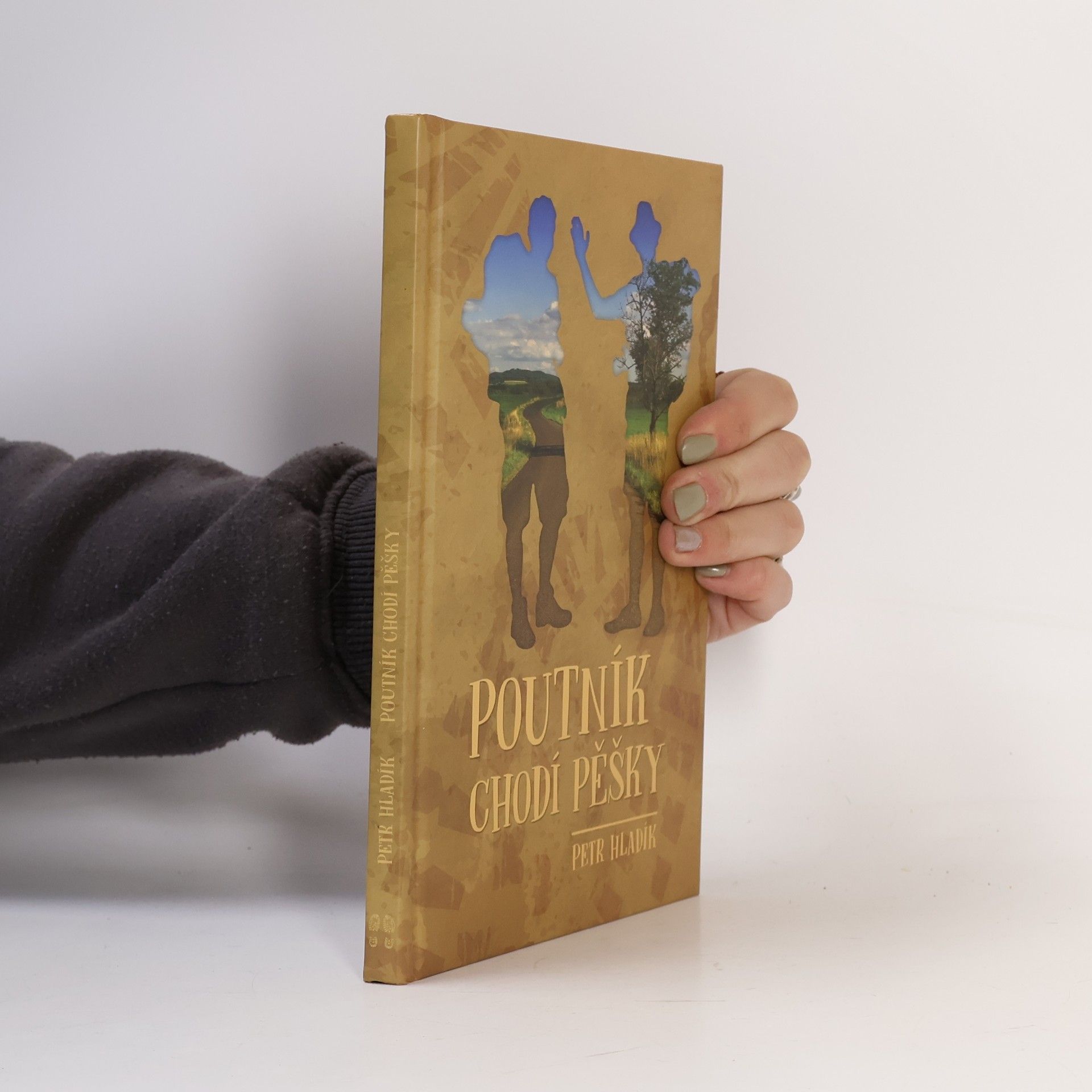 Jiří Michlíček Poutník chodí pěšky