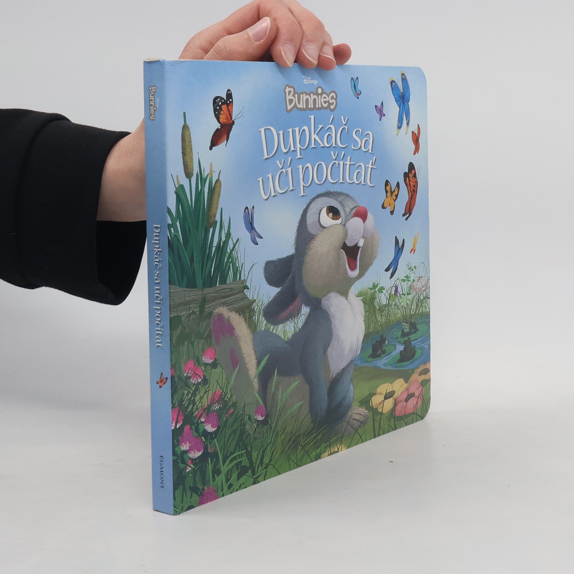 Kitty Richards Dupkáč sa učí počítať