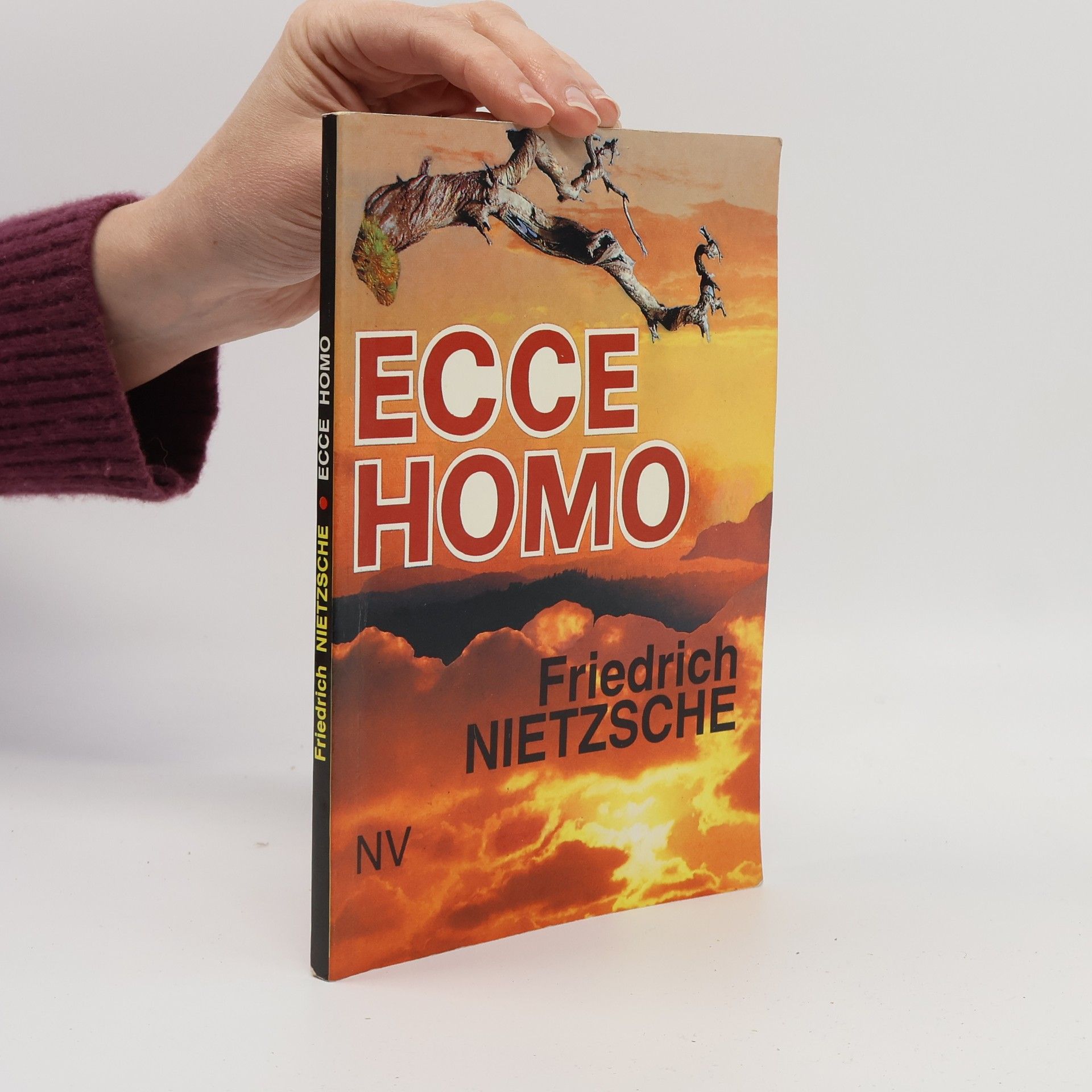 Friedrich Nietzsche Ecce homo