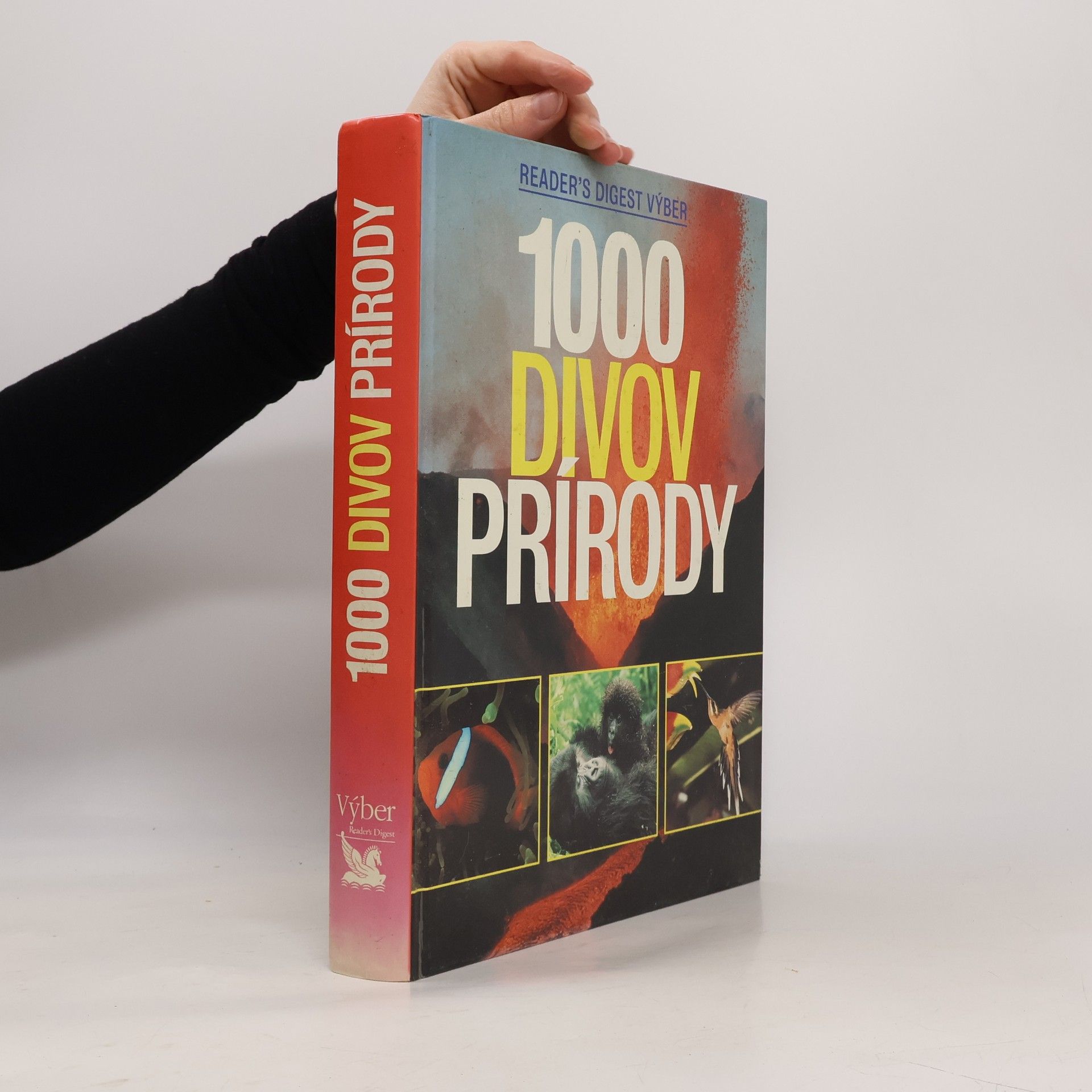 Autorenkollektiv 1000 divov prírody