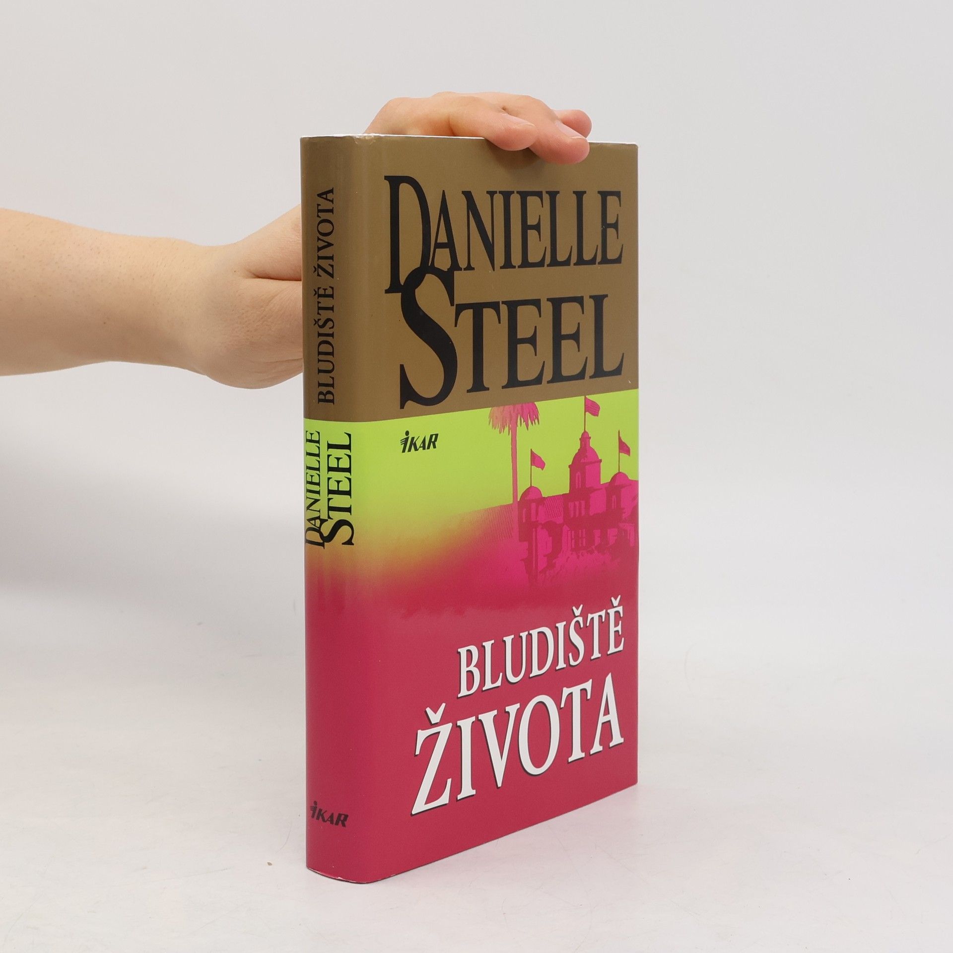 Danielle Steel Bludiště života
