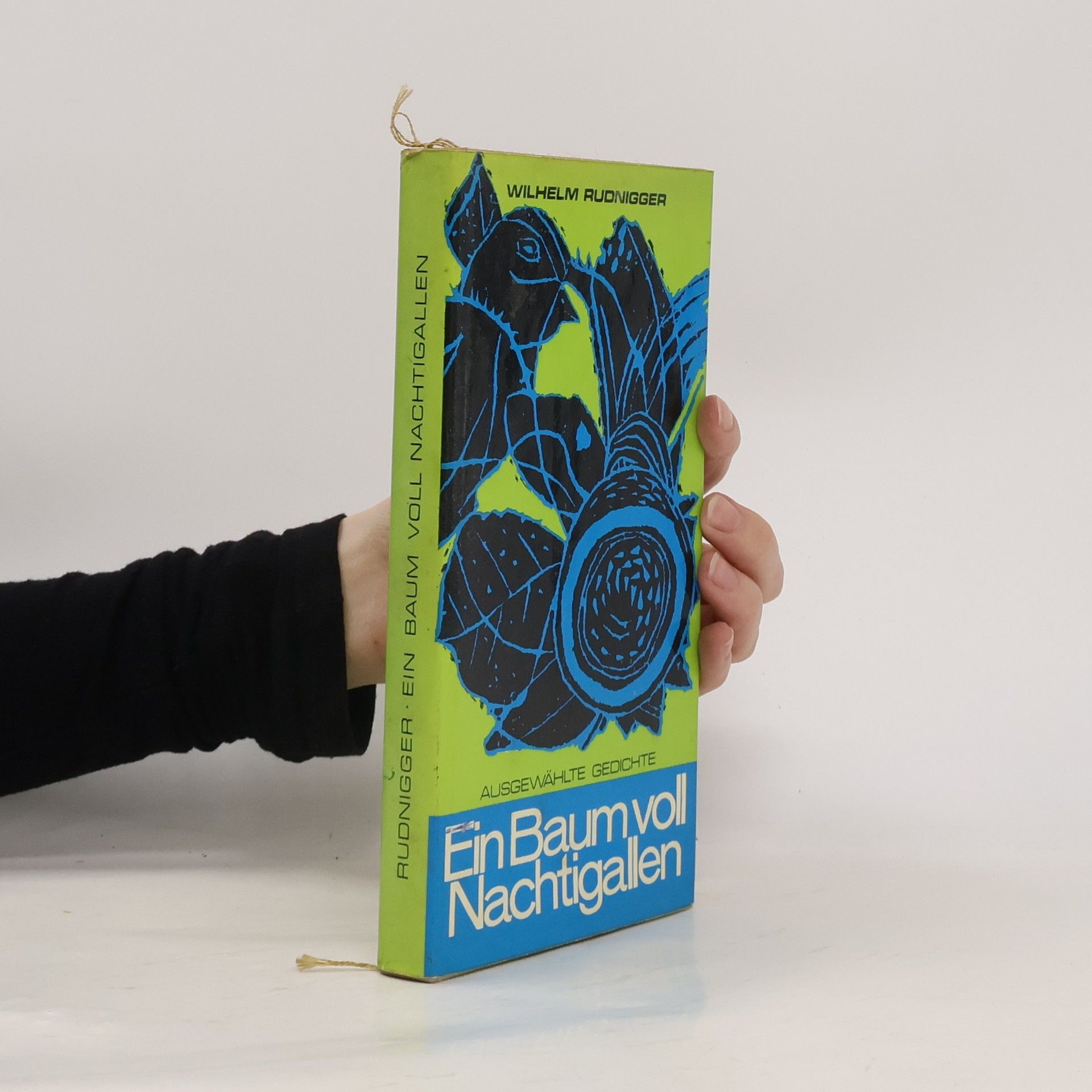 Wilhelm Rudnigger Ein Baum voll Nachtigallen