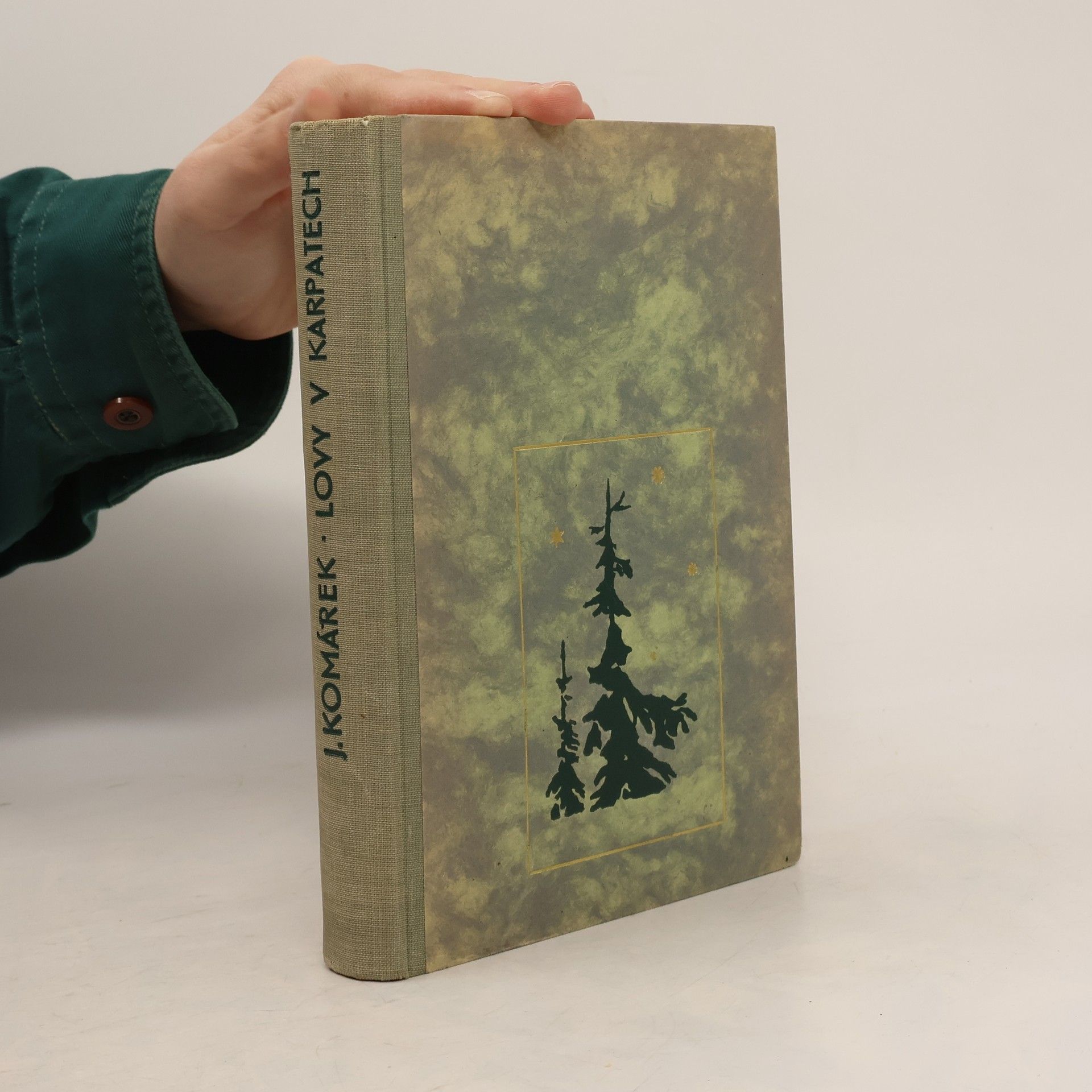 Julius Komárek Lovy v karpatech