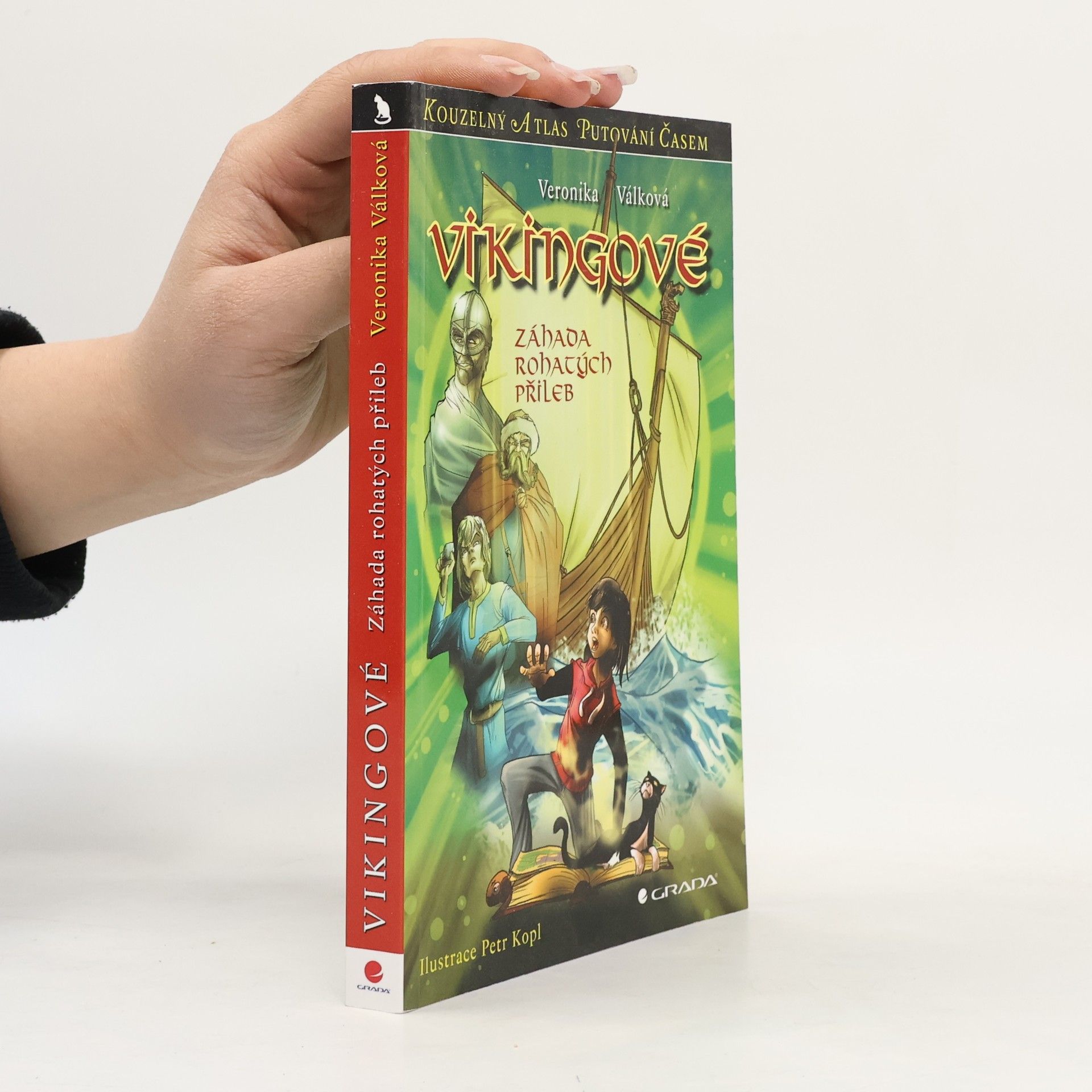 Vikingové : záhada rohatých přileb